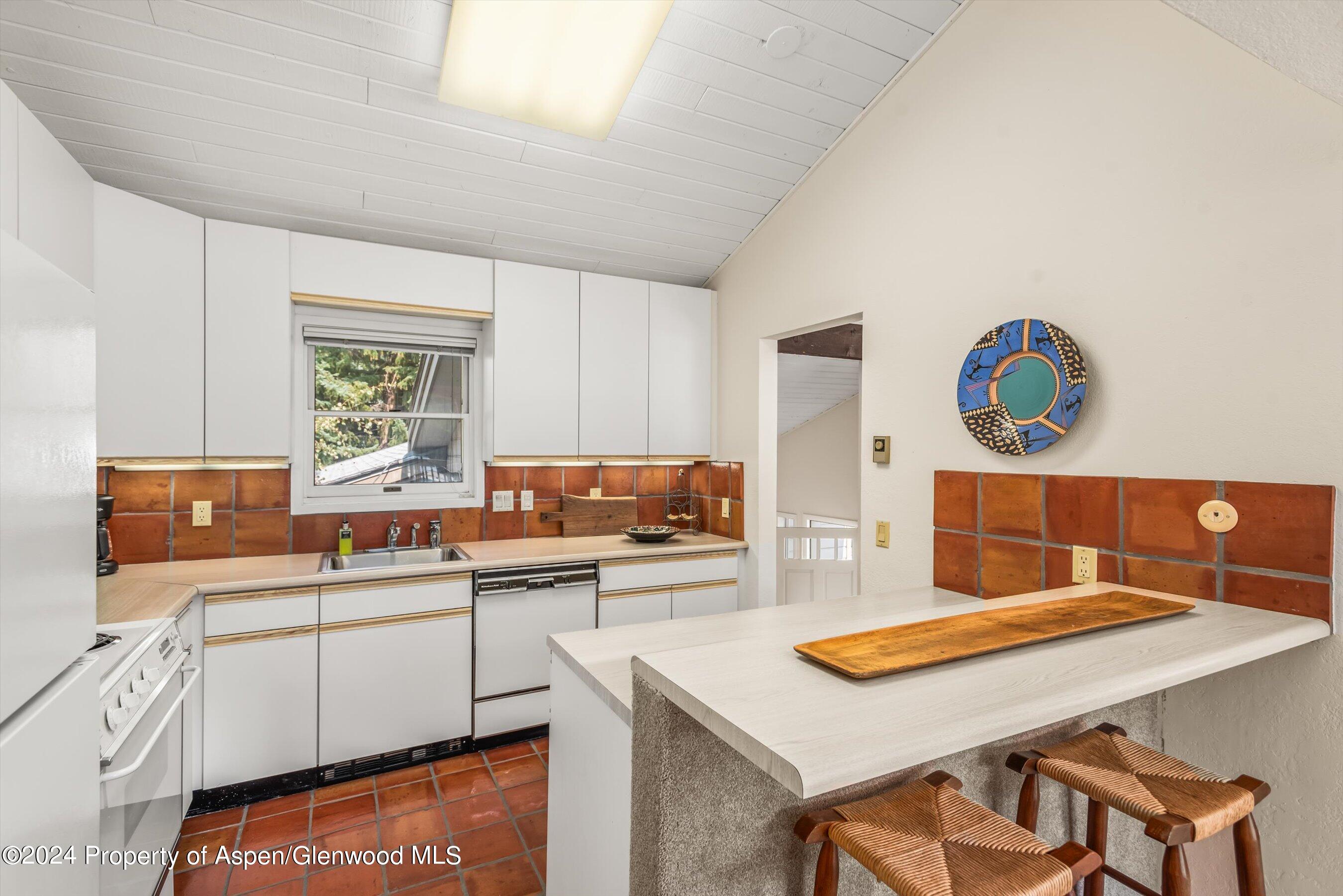 1275 Snowbunny Lane Aspen CO 81611