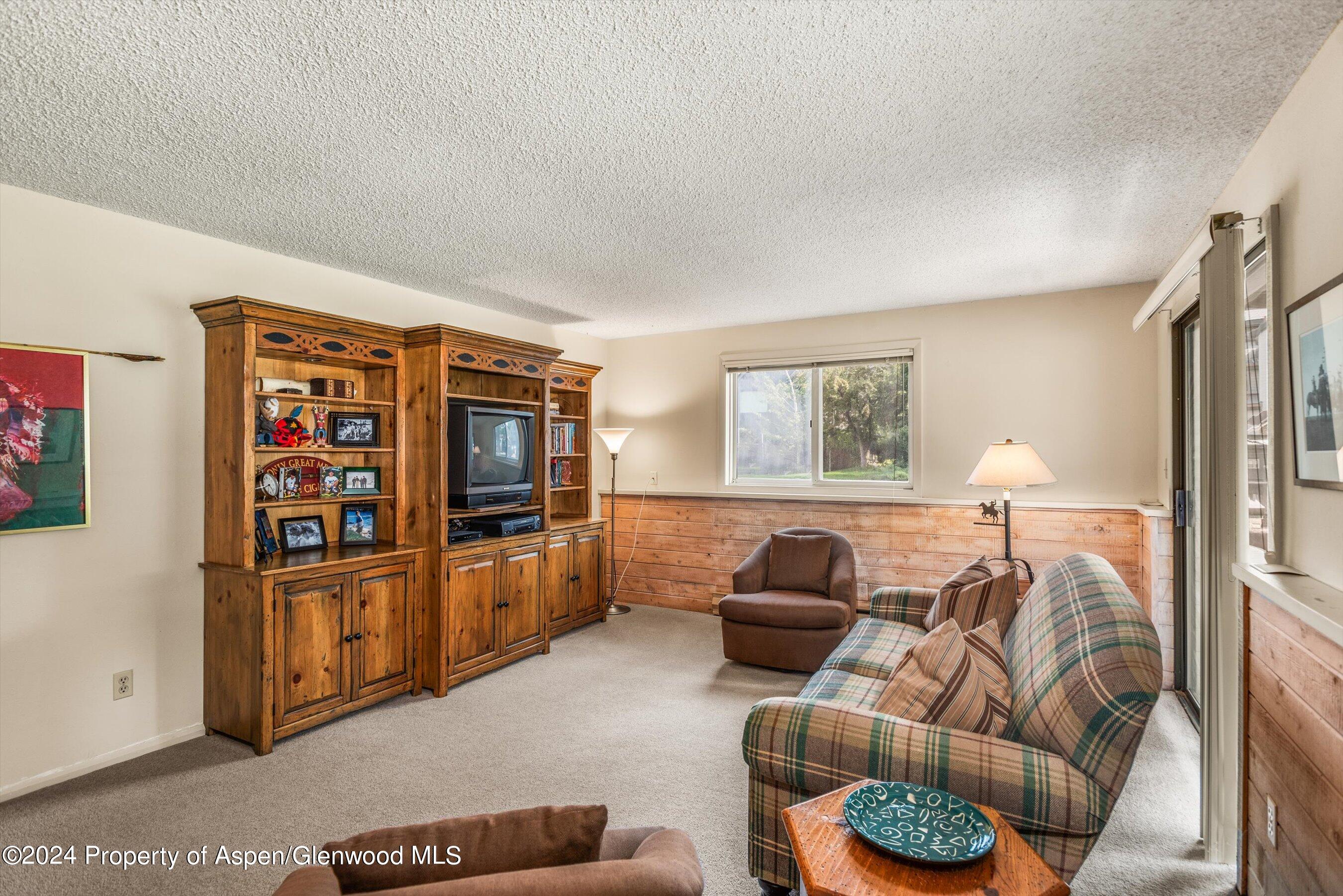 1275 Snowbunny Lane Aspen CO 81611