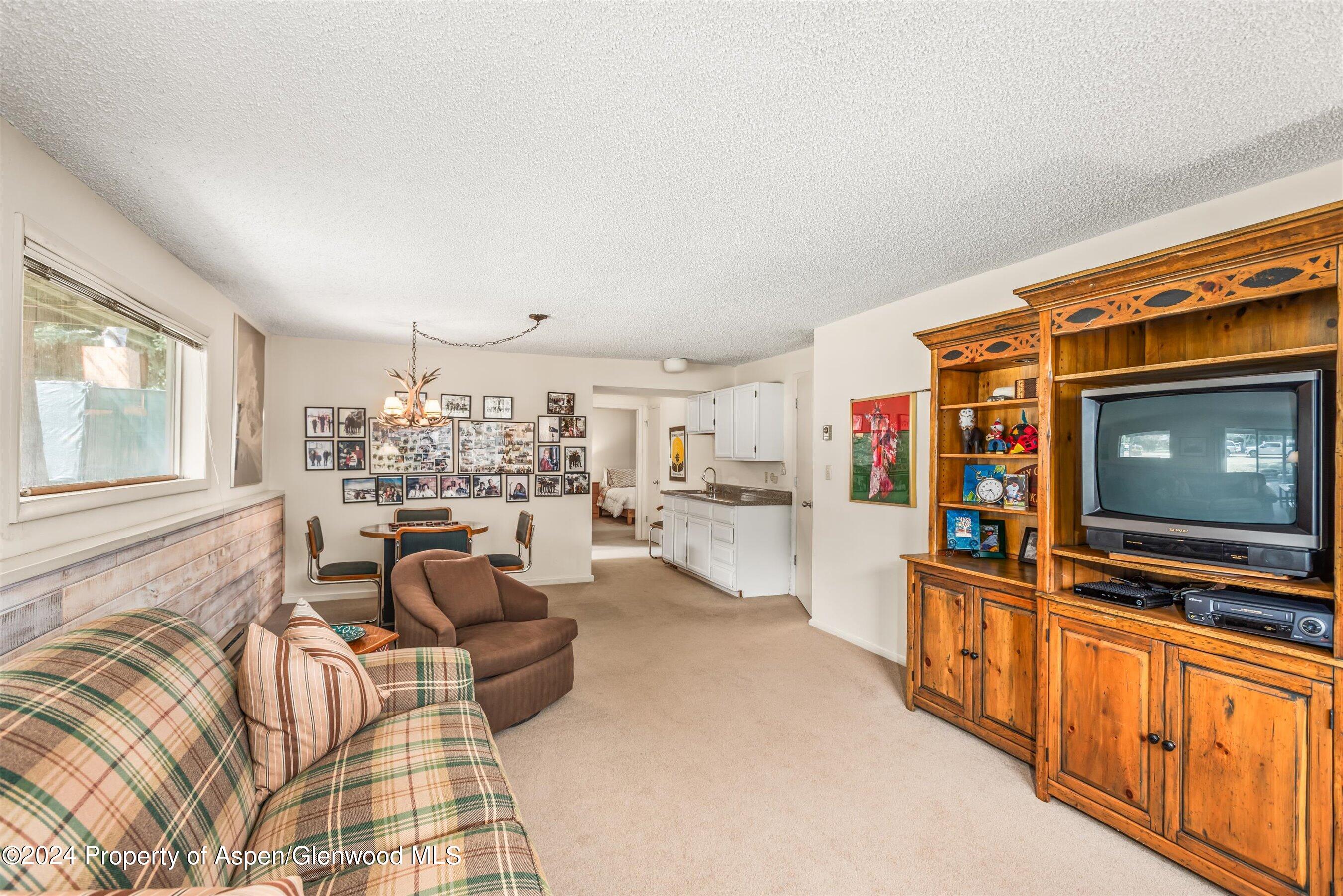 1275 Snowbunny Lane Aspen CO 81611