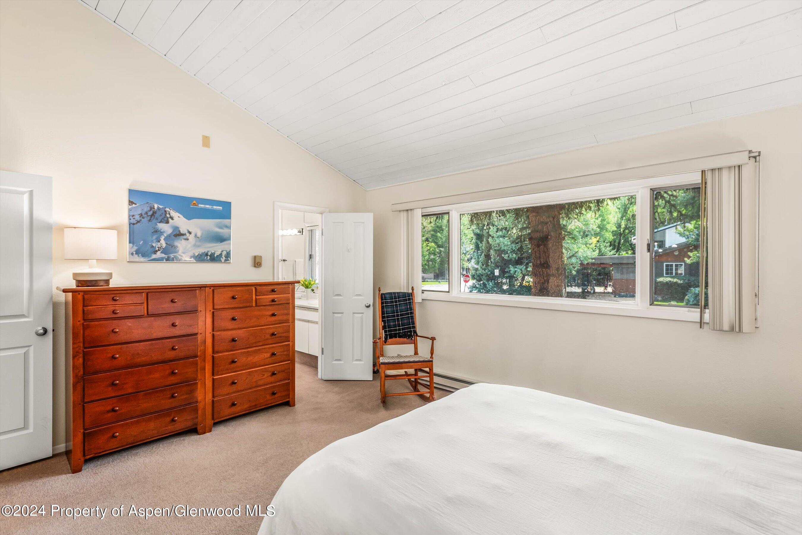 1275 Snowbunny Lane Aspen CO 81611