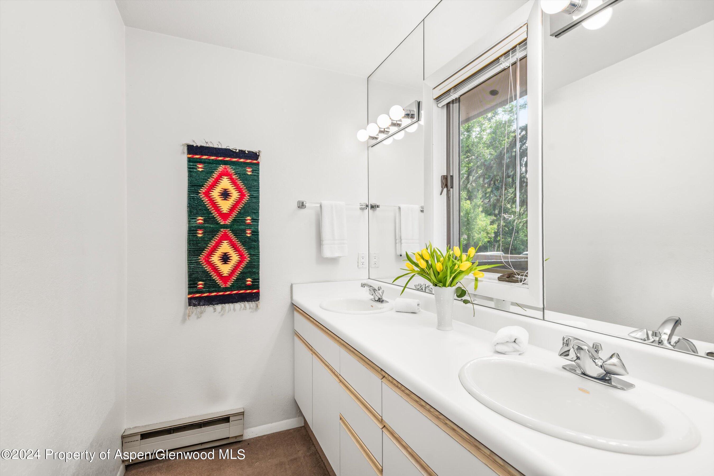 1275 Snowbunny Lane Aspen CO 81611