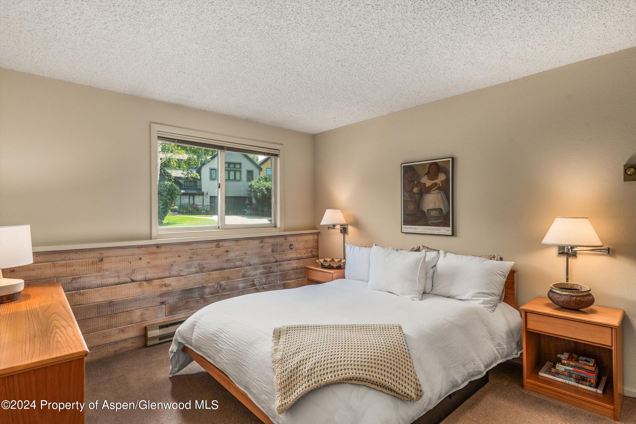 1275 Snowbunny Lane Aspen CO 81611