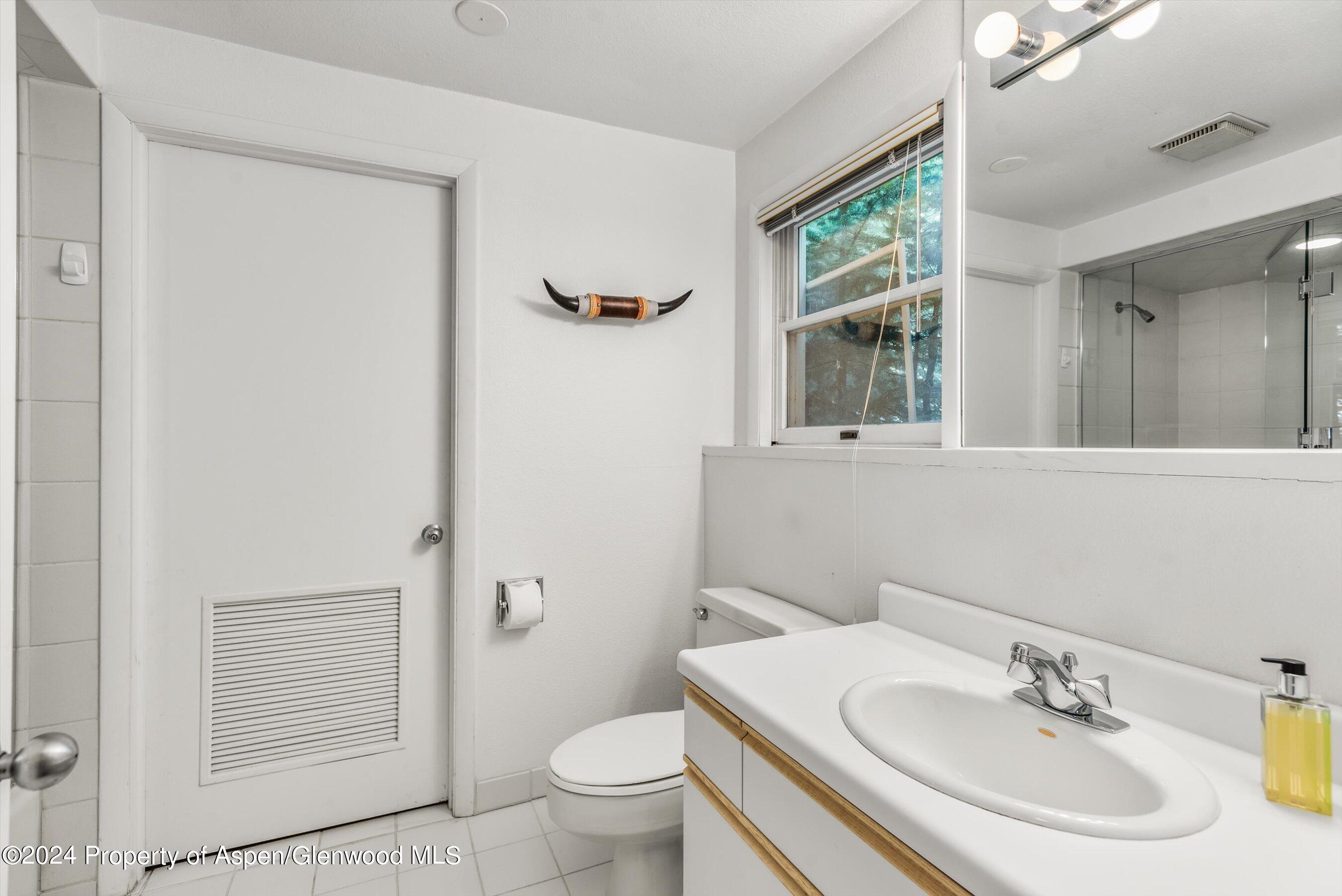 1275 Snowbunny Lane Aspen CO 81611
