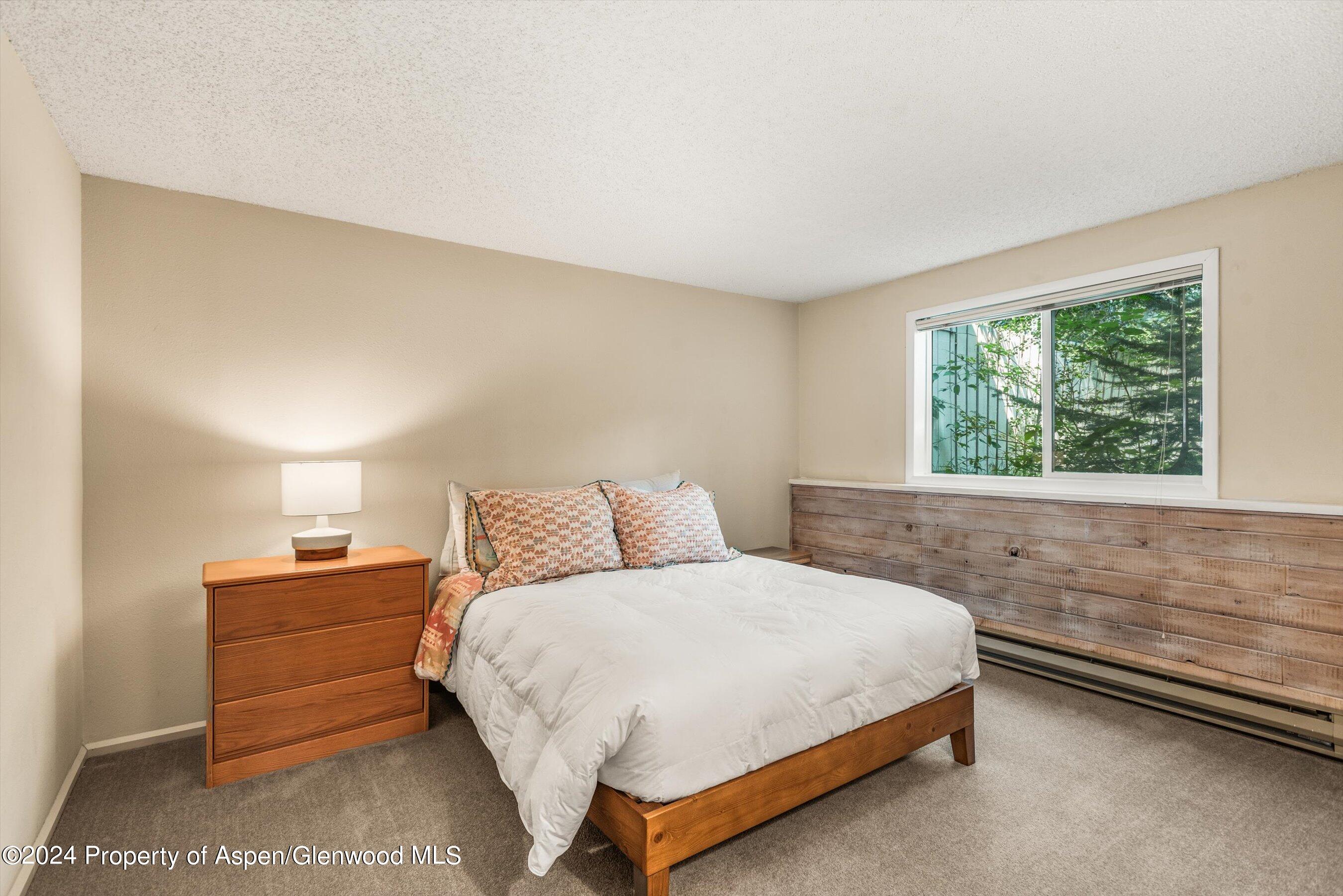 1275 Snowbunny Lane Aspen CO 81611