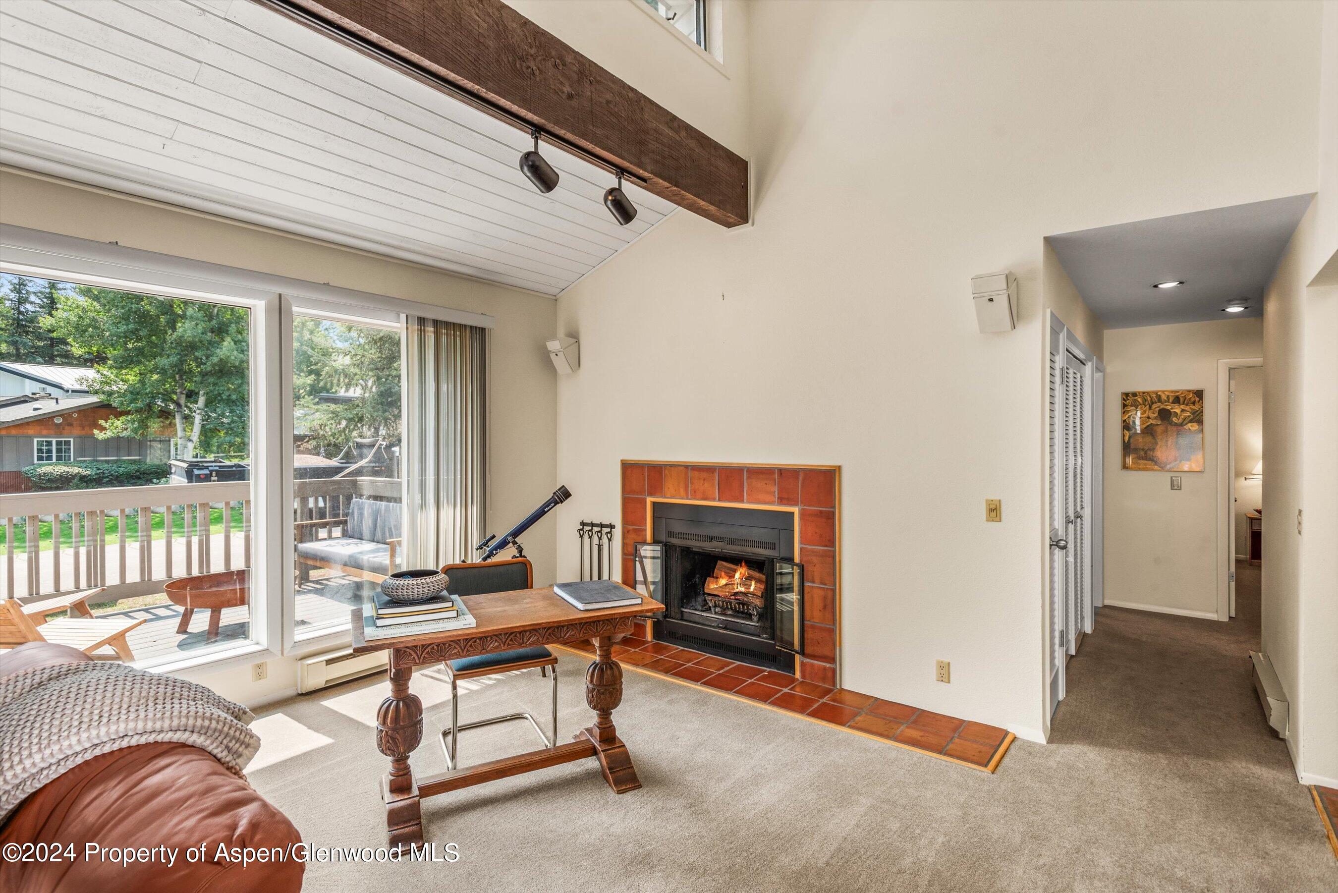 1275 Snowbunny Lane Aspen CO 81611