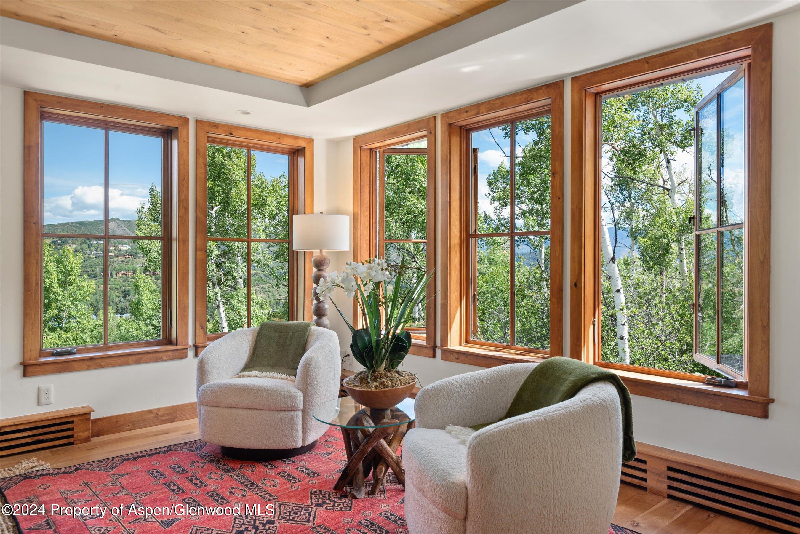 71 North Ridge Lane Snowmass Village CO 81615