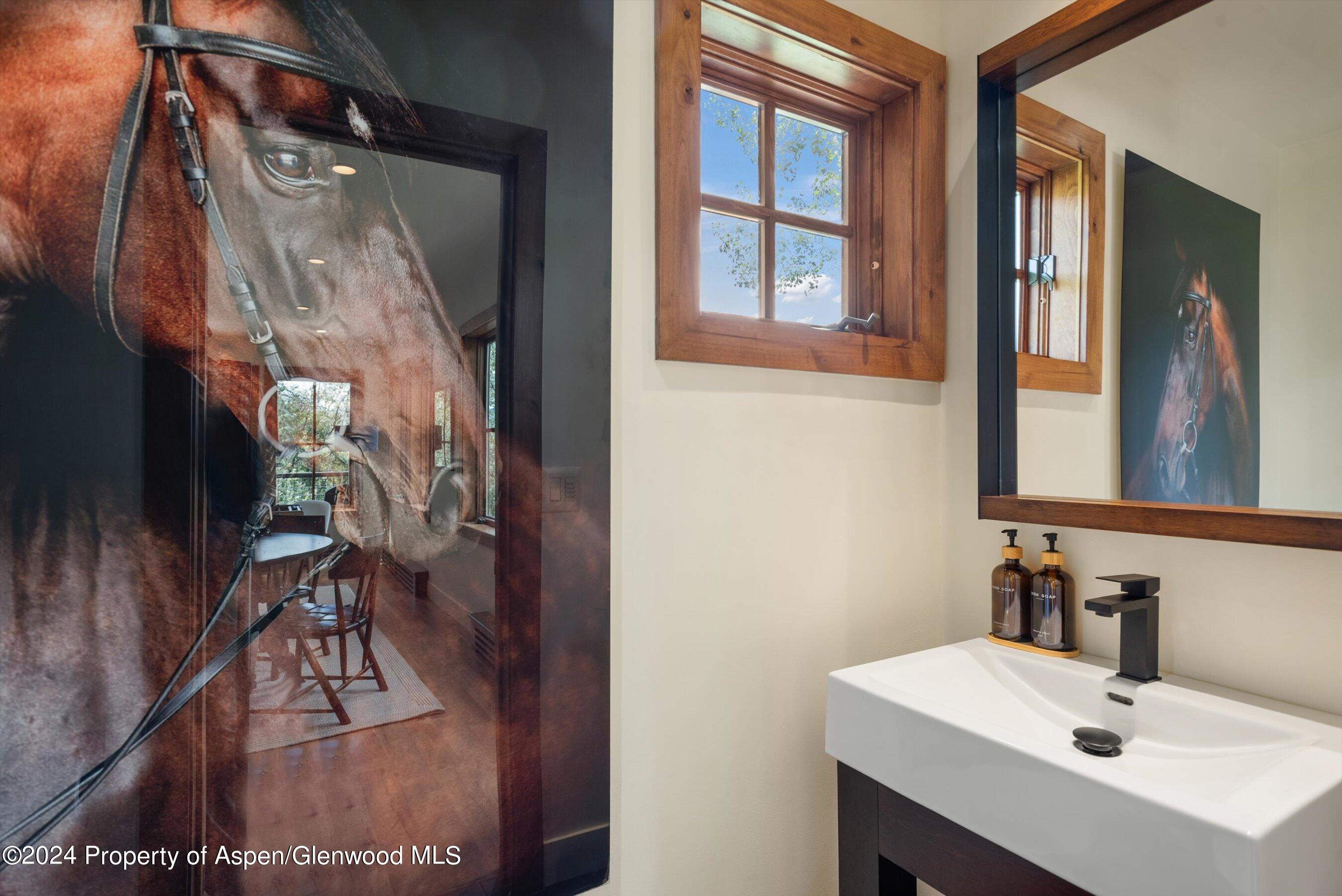 71 North Ridge Lane Snowmass Village CO 81615