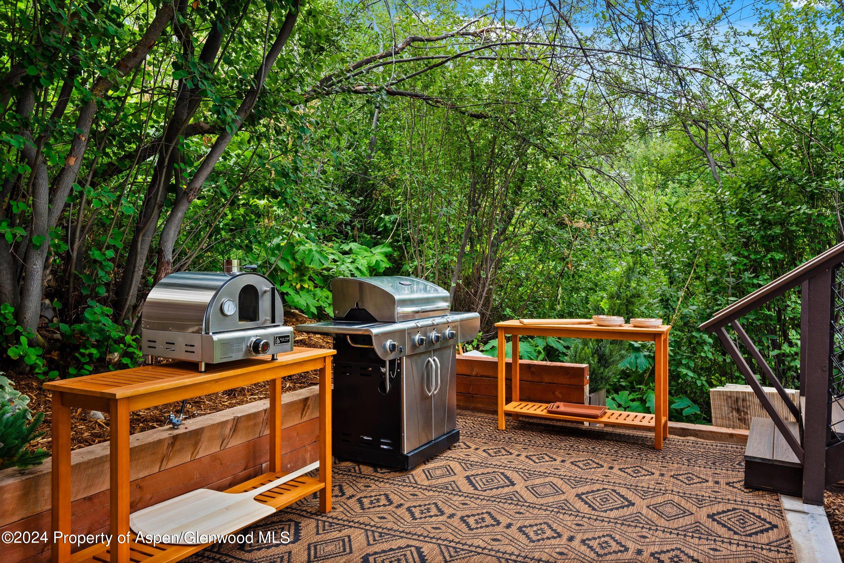 71 North Ridge Lane Snowmass Village CO 81615