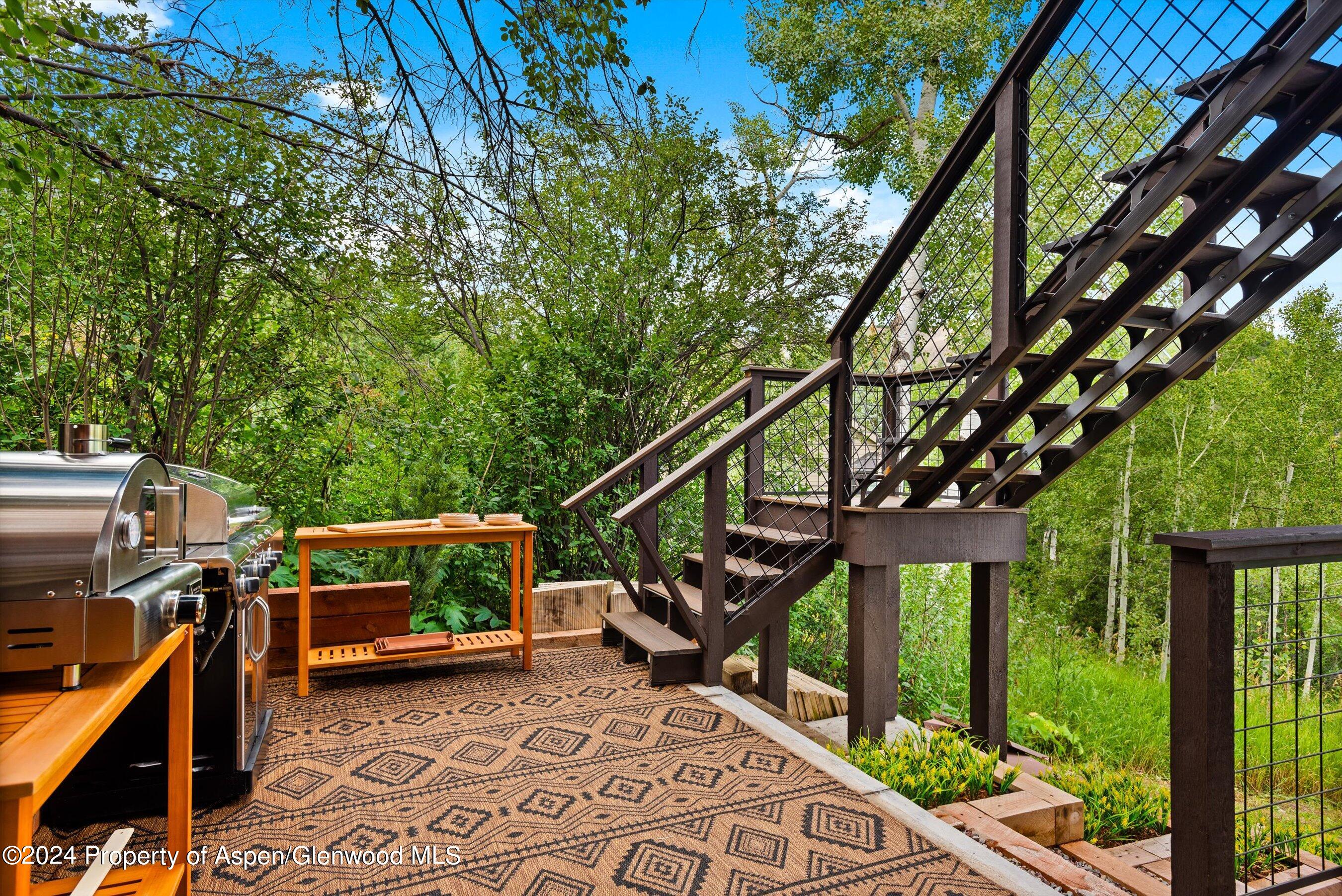 71 North Ridge Lane Snowmass Village CO 81615