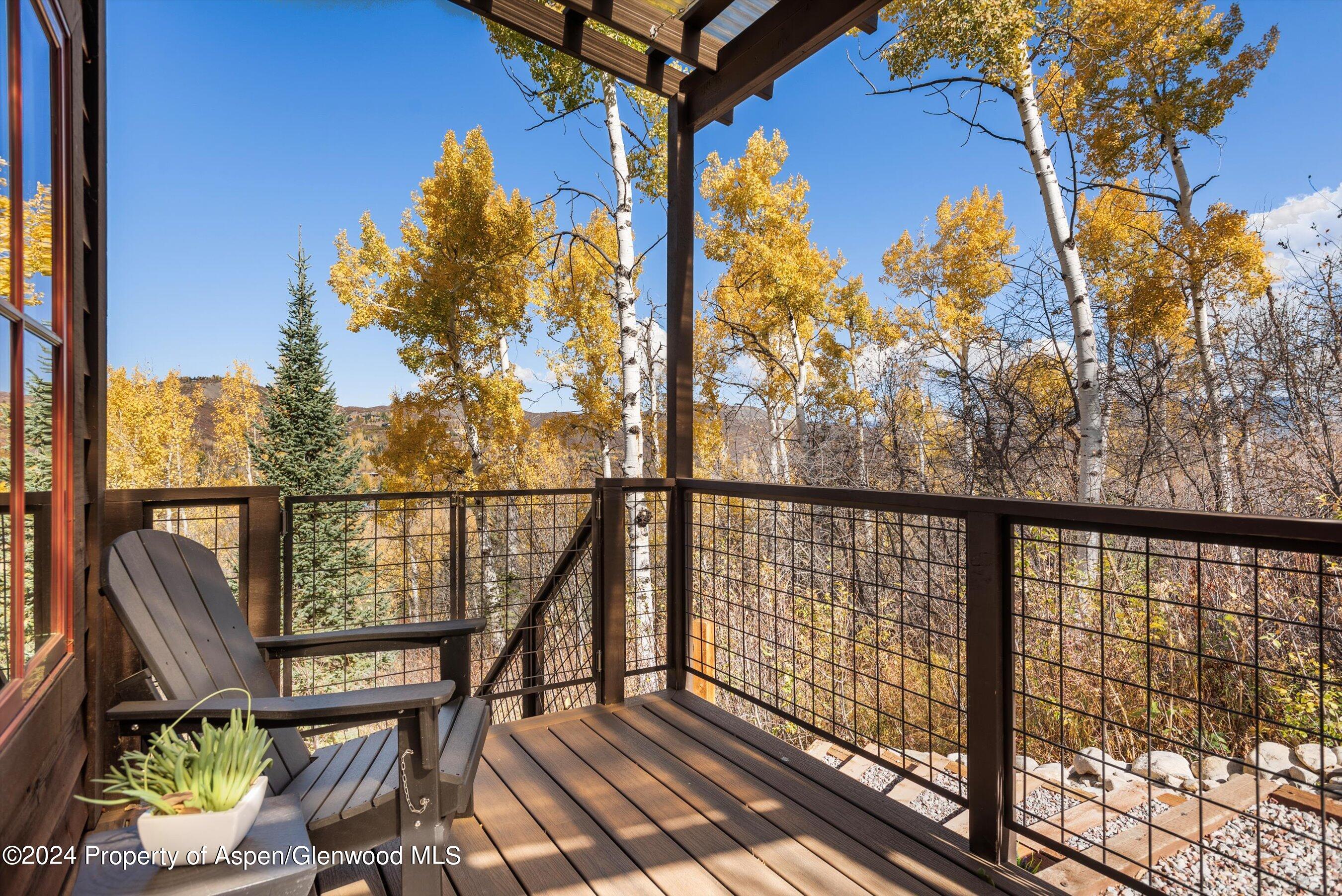 71 North Ridge Lane Snowmass Village CO 81615