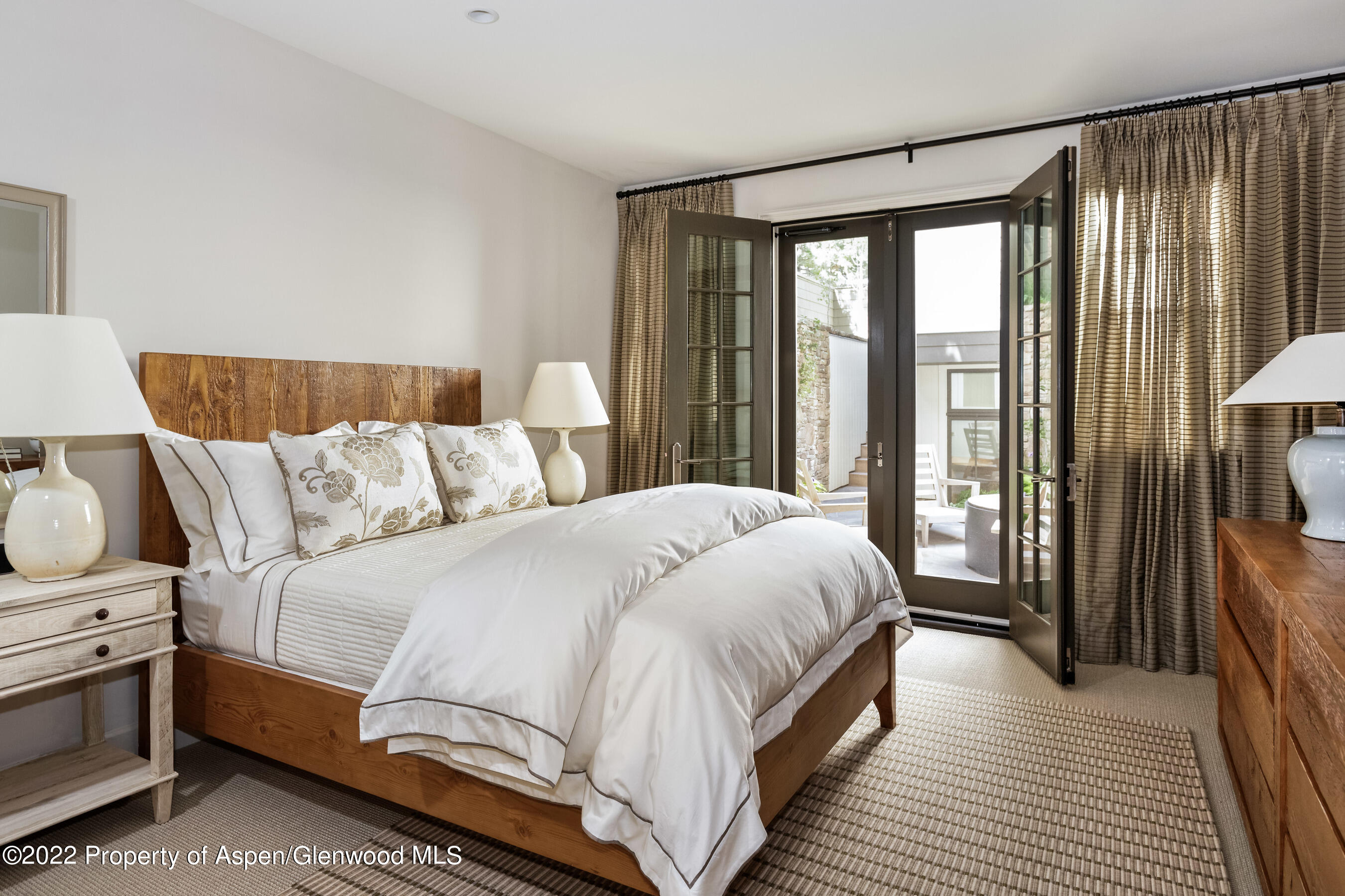 610 W Hallam Street Aspen CO 81611