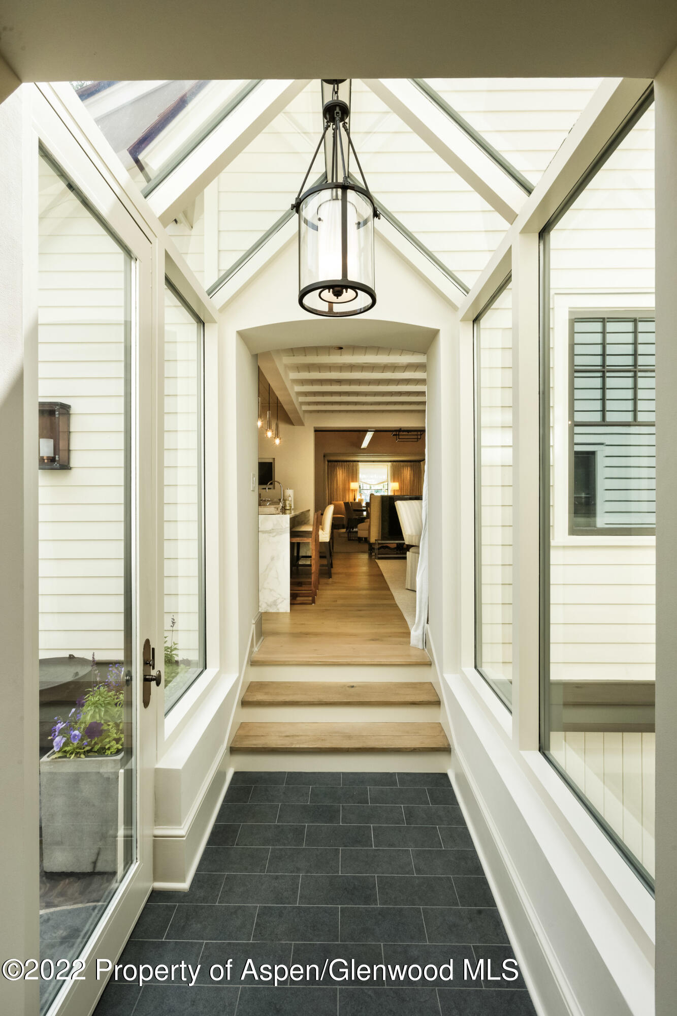 610 W Hallam Street Aspen CO 81611