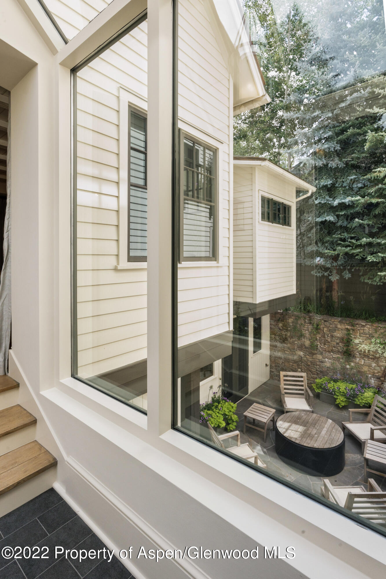 610 W Hallam Street Aspen CO 81611