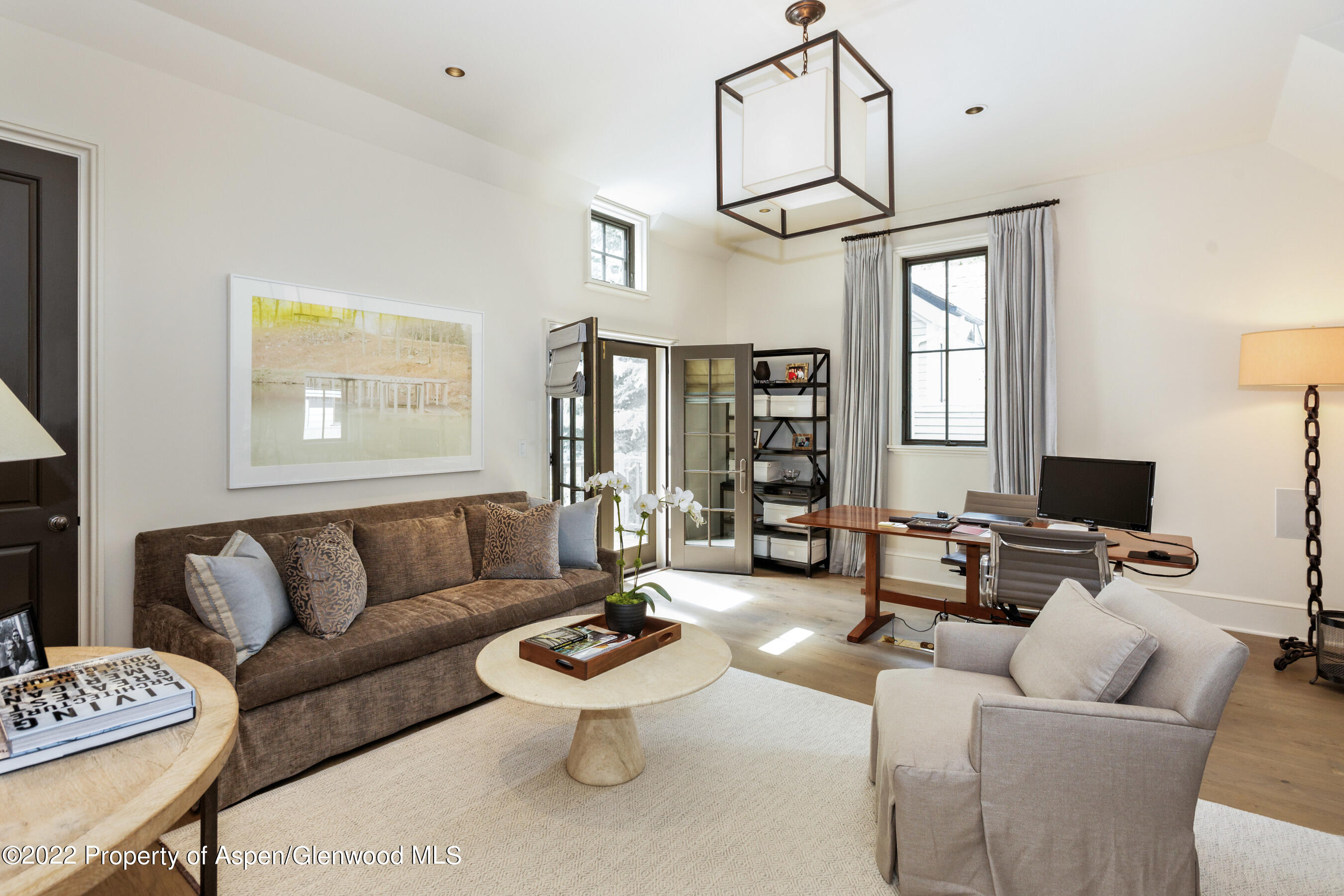 610 W Hallam Street Aspen CO 81611