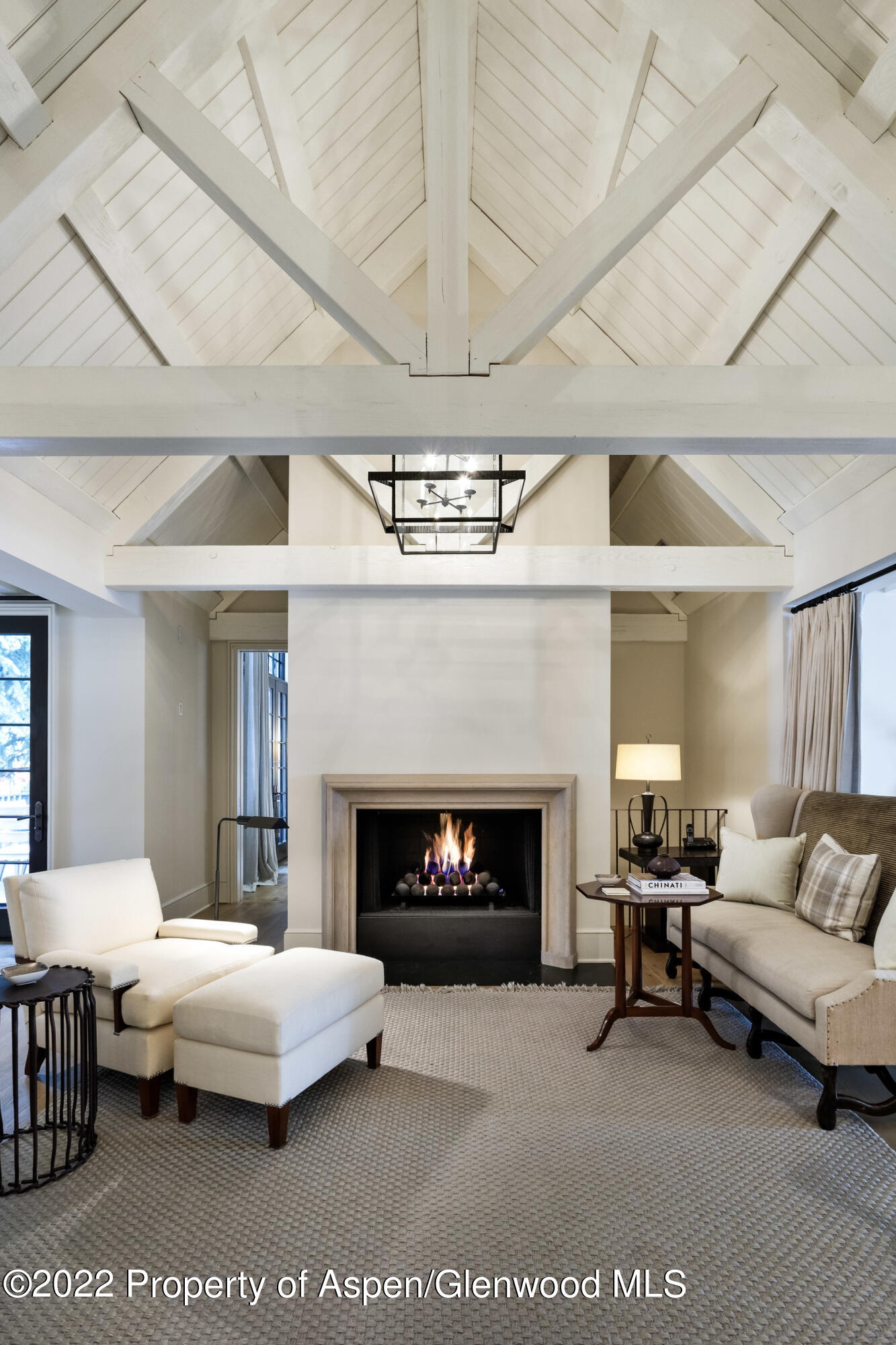 610 W Hallam Street Aspen CO 81611