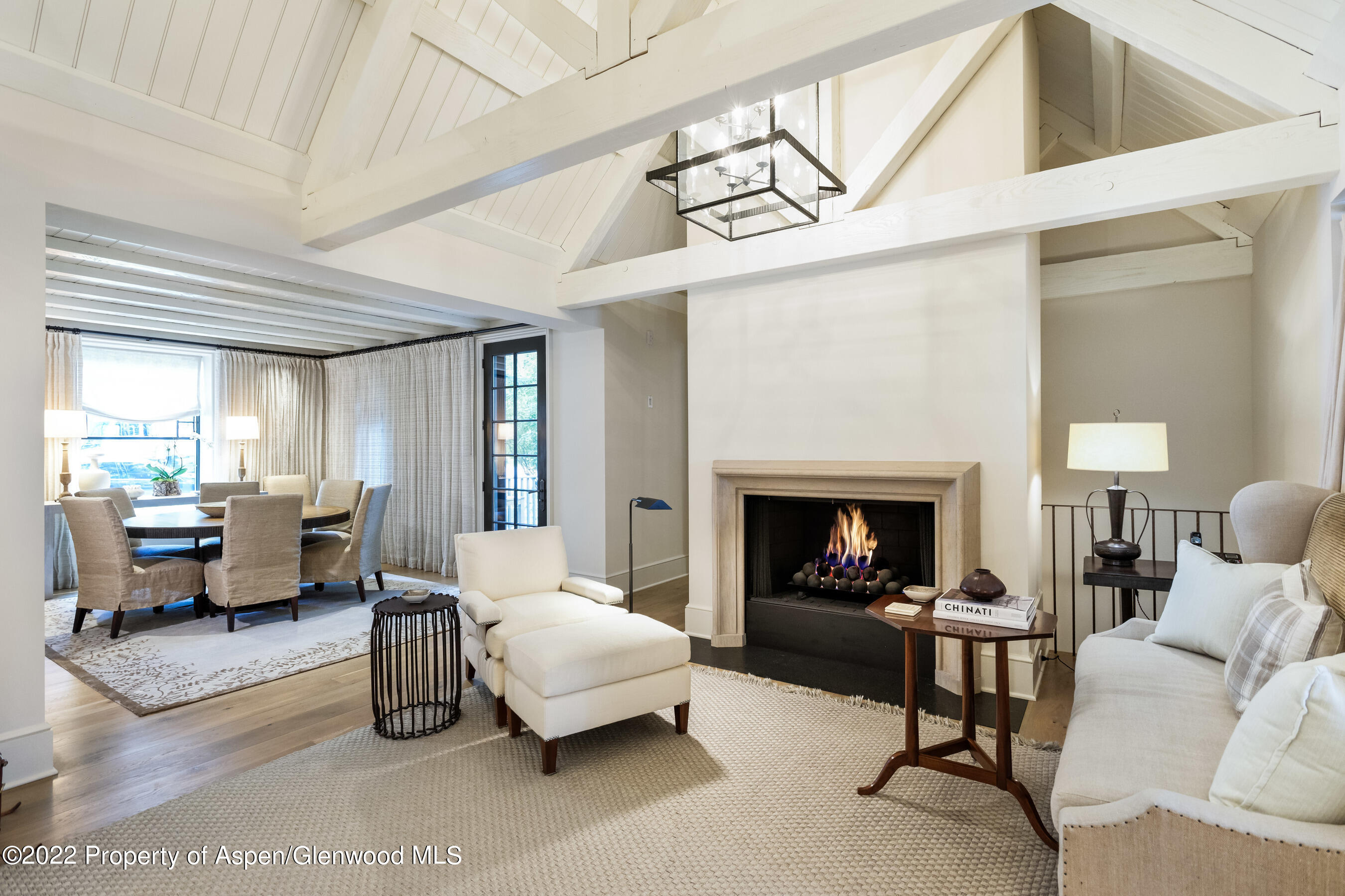 610 W Hallam Street Aspen CO 81611