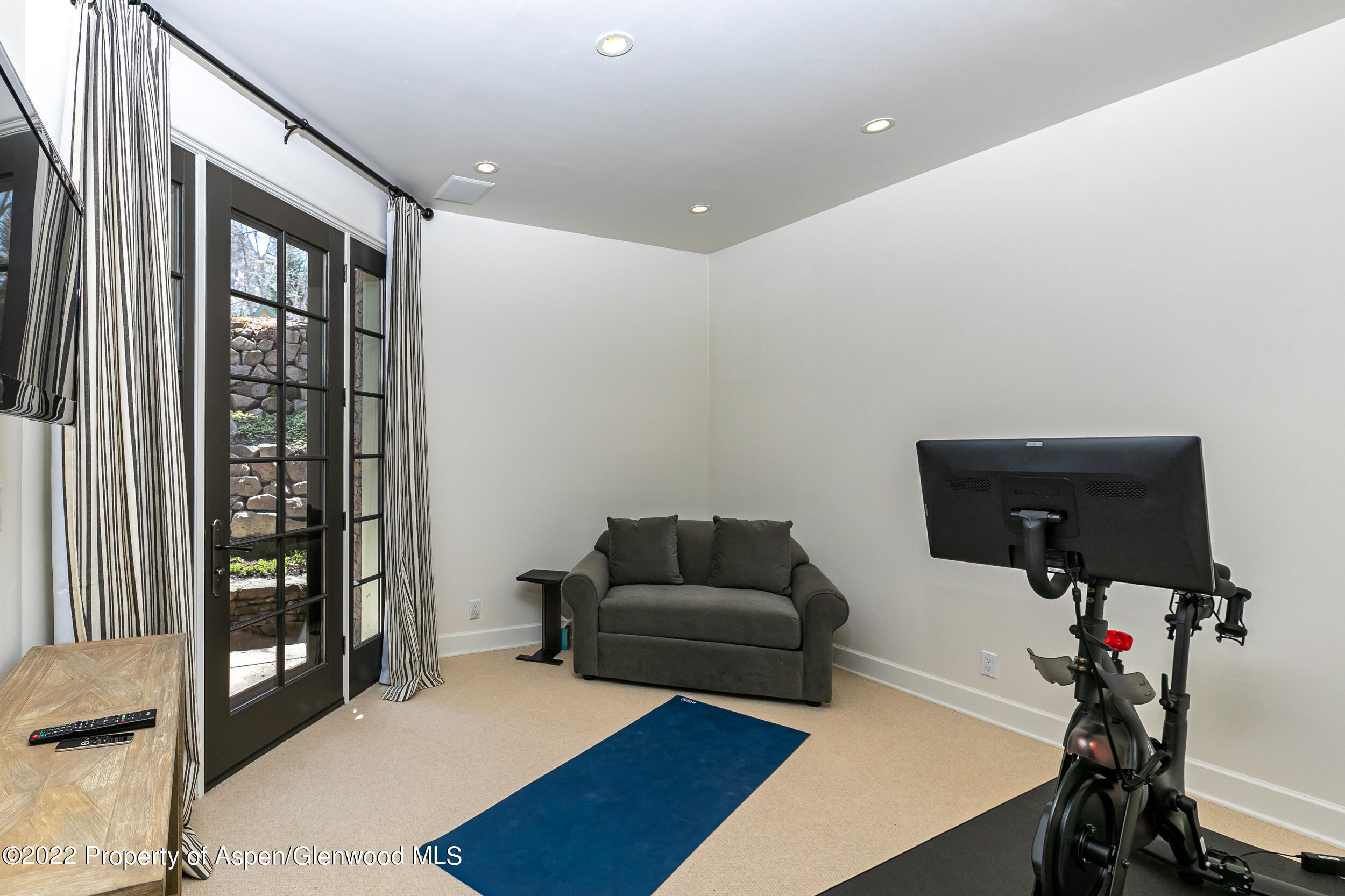 610 W Hallam Street Aspen CO 81611