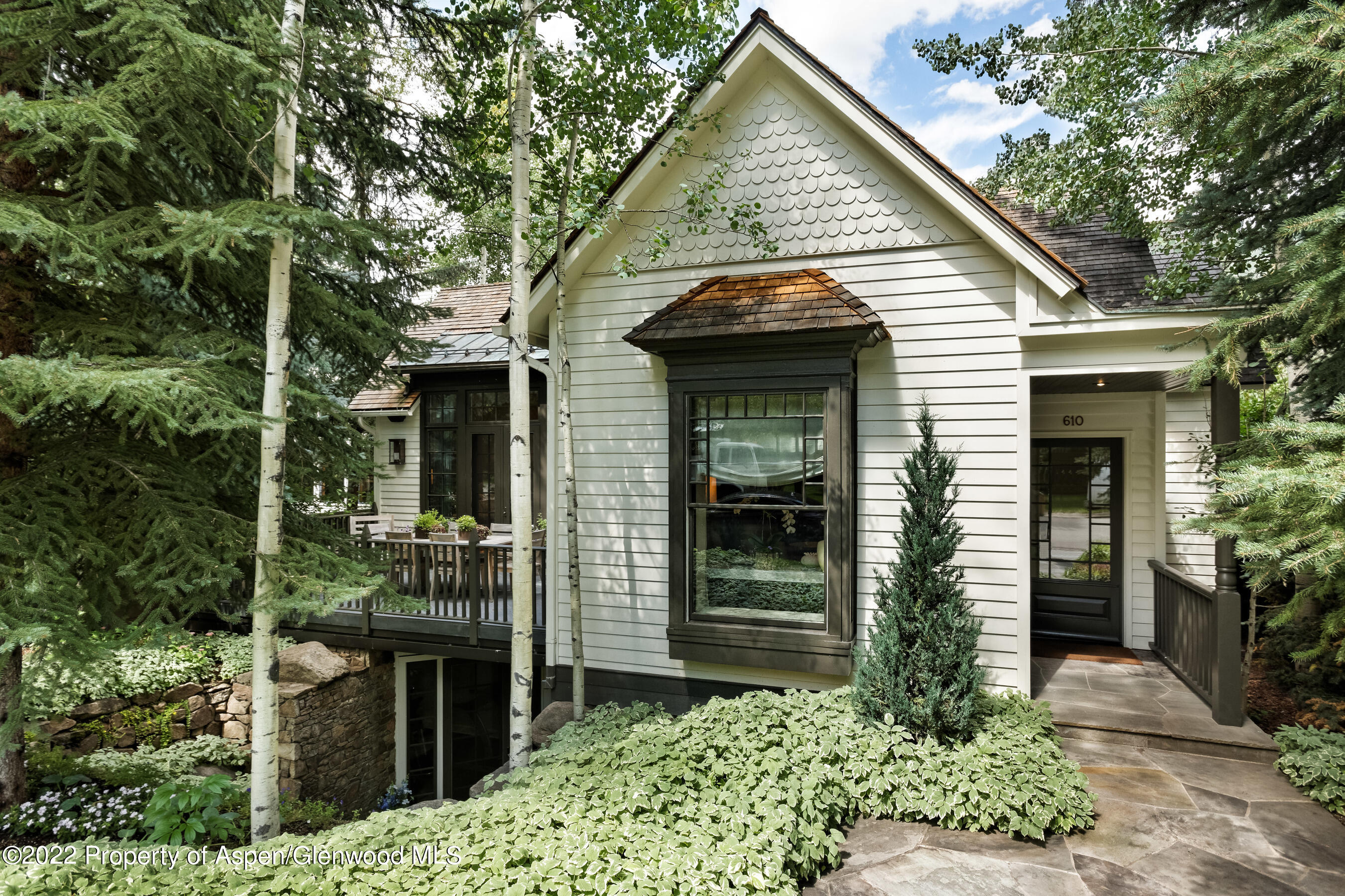 610 W Hallam Street Aspen CO 81611