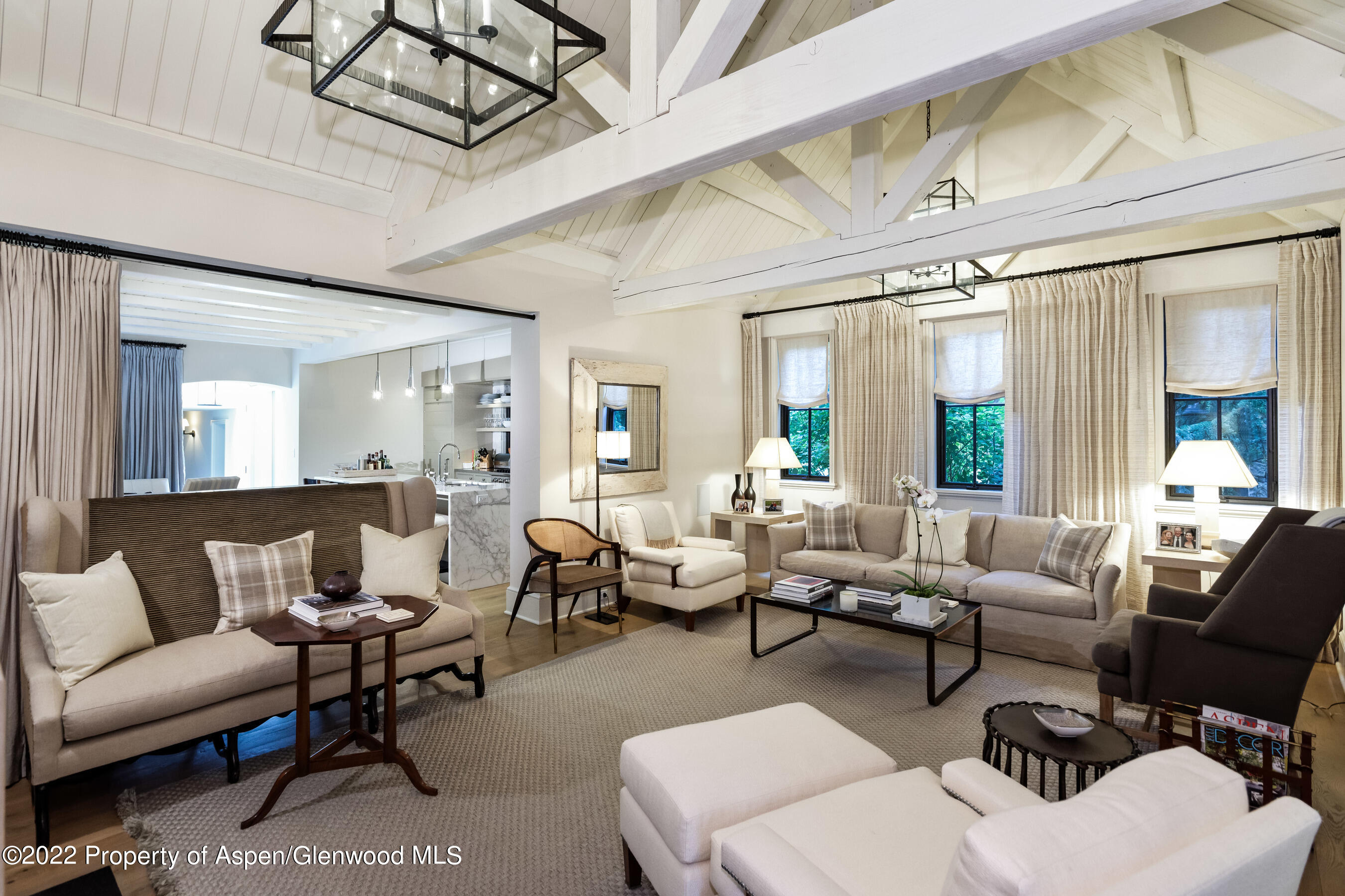 610 W Hallam Street Aspen CO 81611