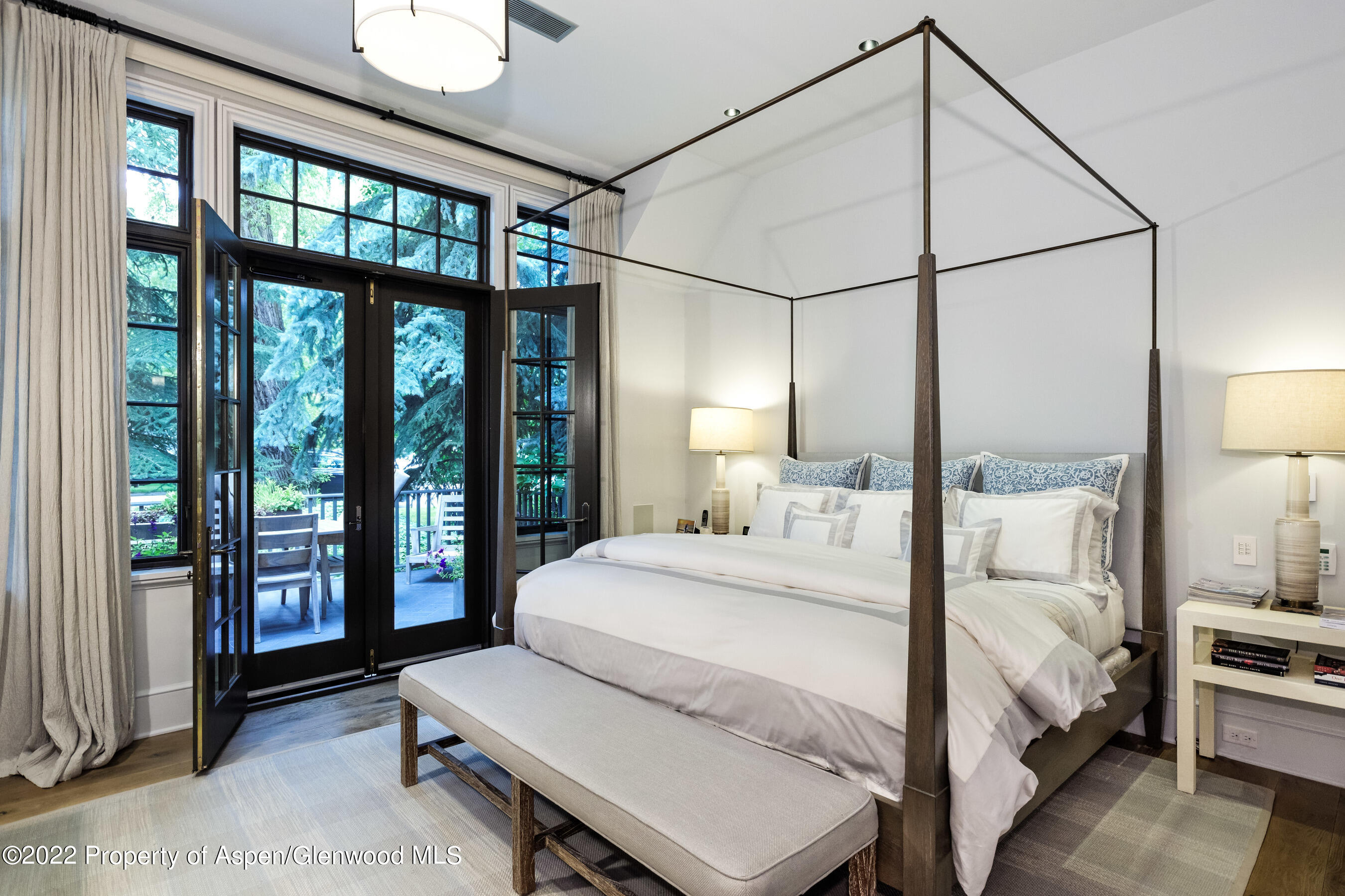 610 W Hallam Street Aspen CO 81611