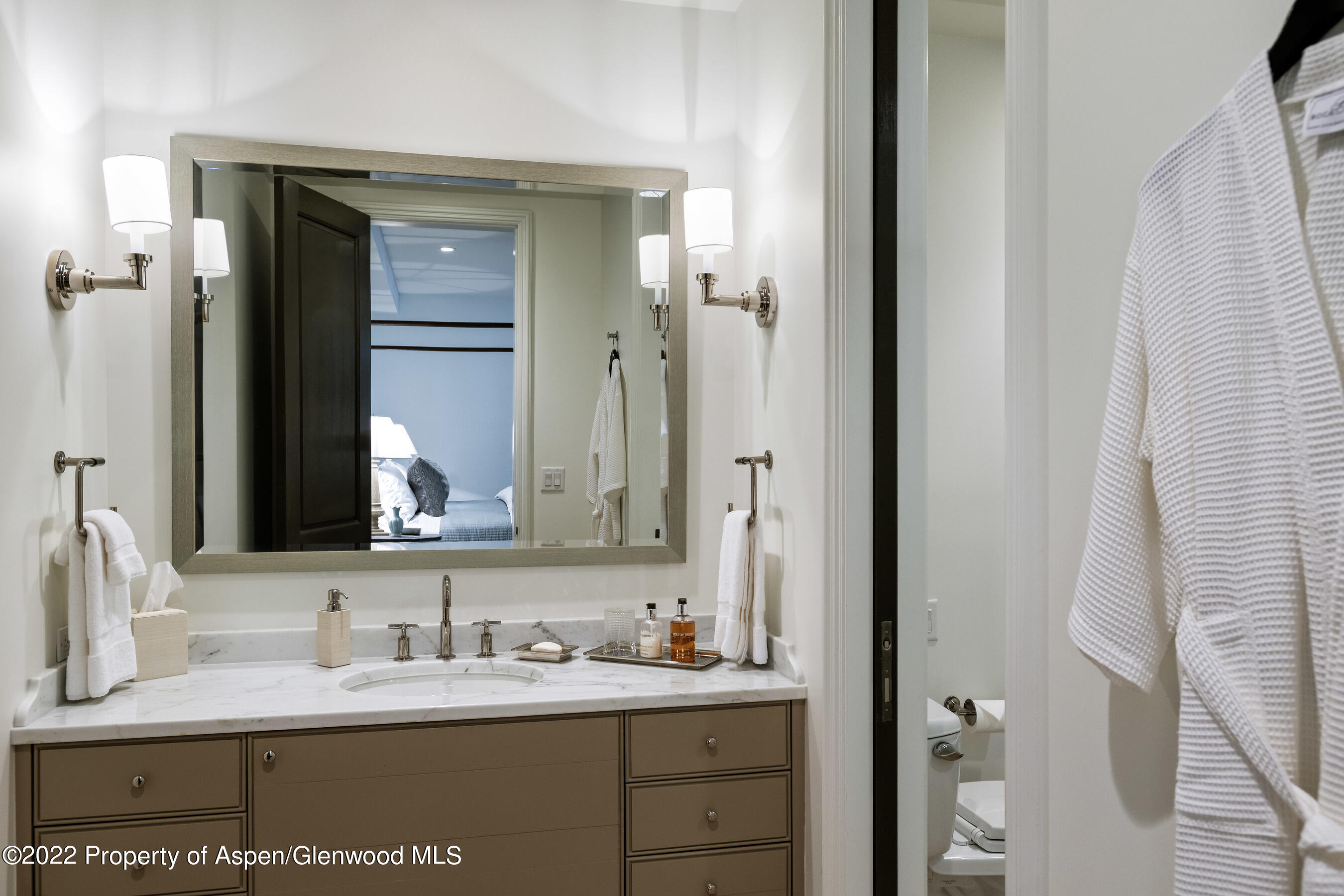 610 W Hallam Street Aspen CO 81611