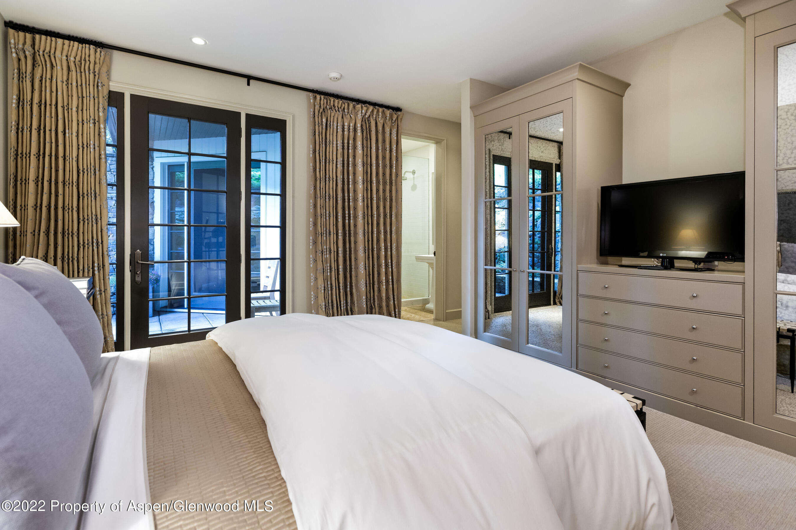 610 W Hallam Street Aspen CO 81611