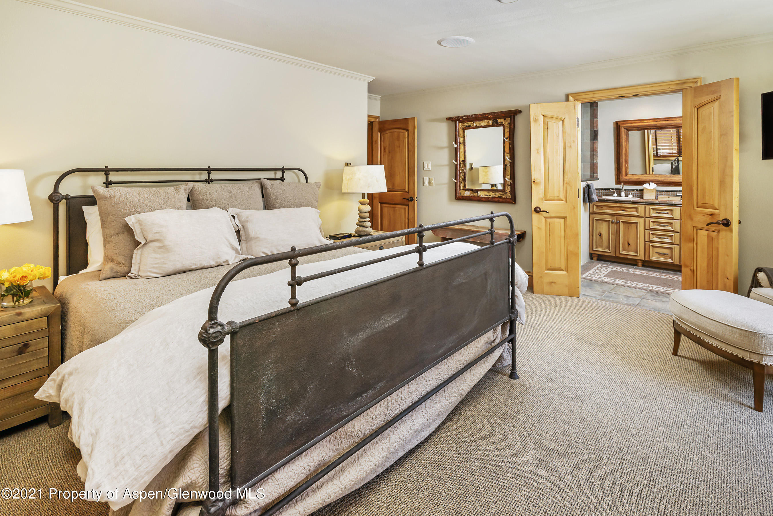 715 E Hopkins Avenue Aspen CO 81611