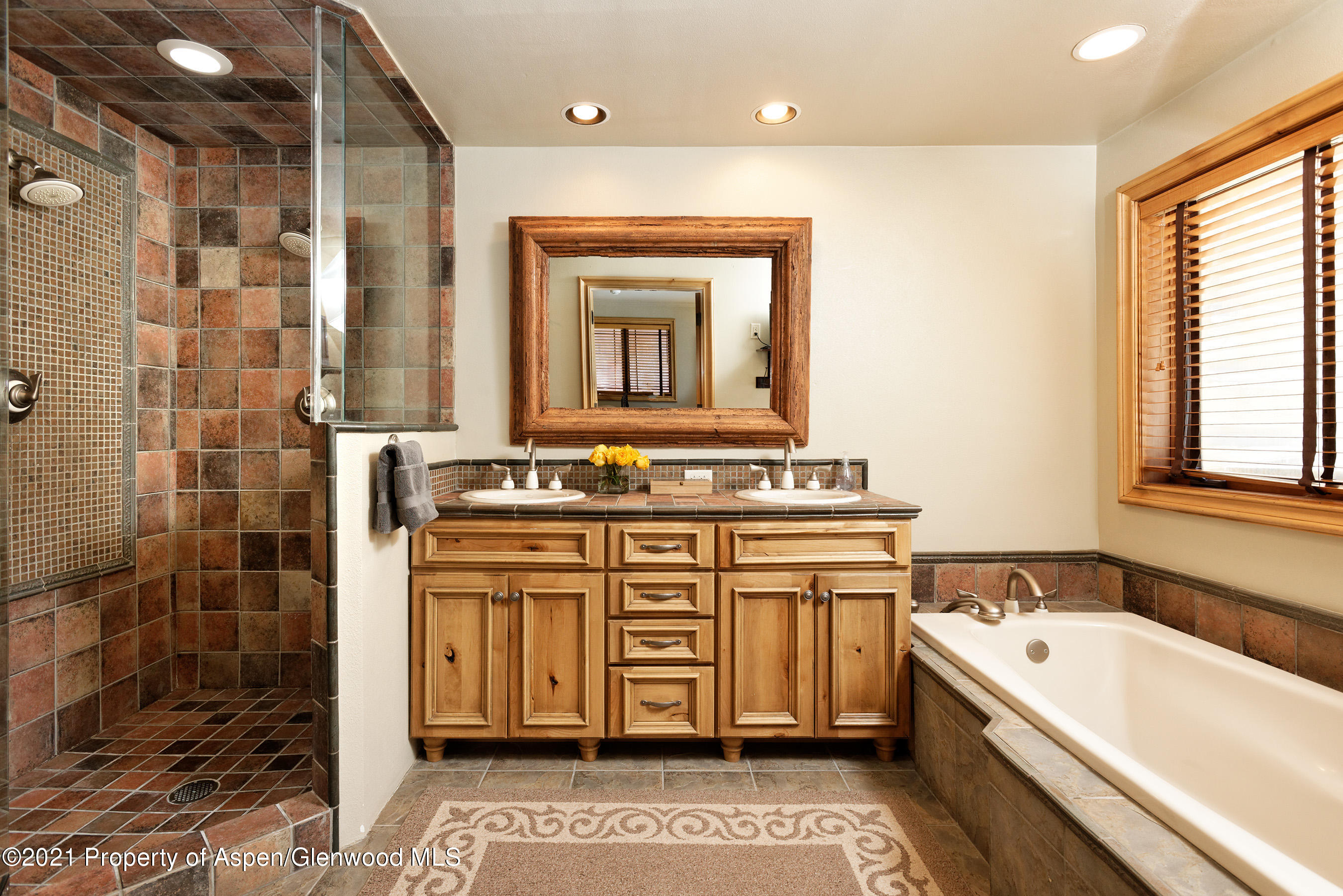 715 E Hopkins Avenue Aspen CO 81611