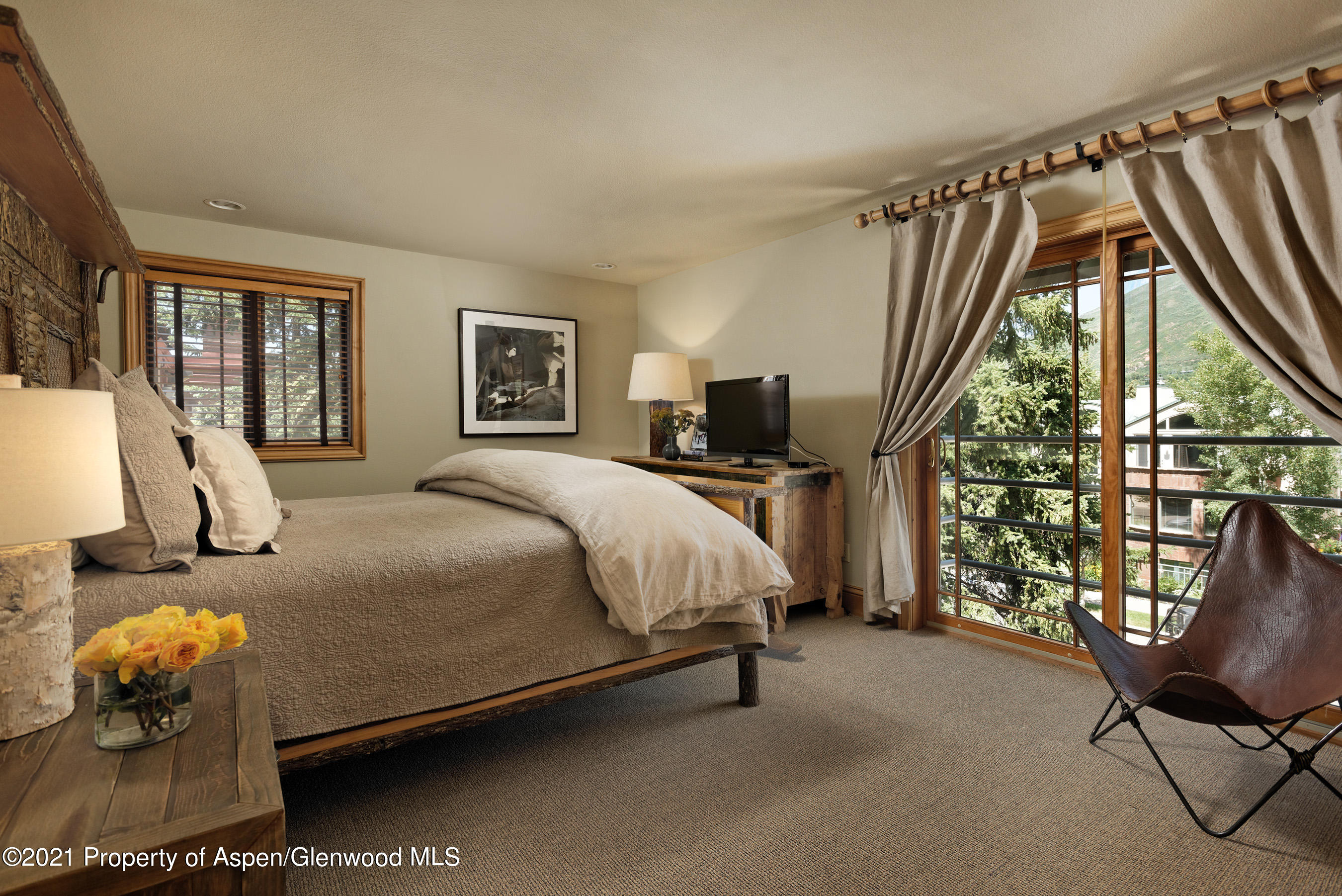 715 E Hopkins Avenue Aspen CO 81611