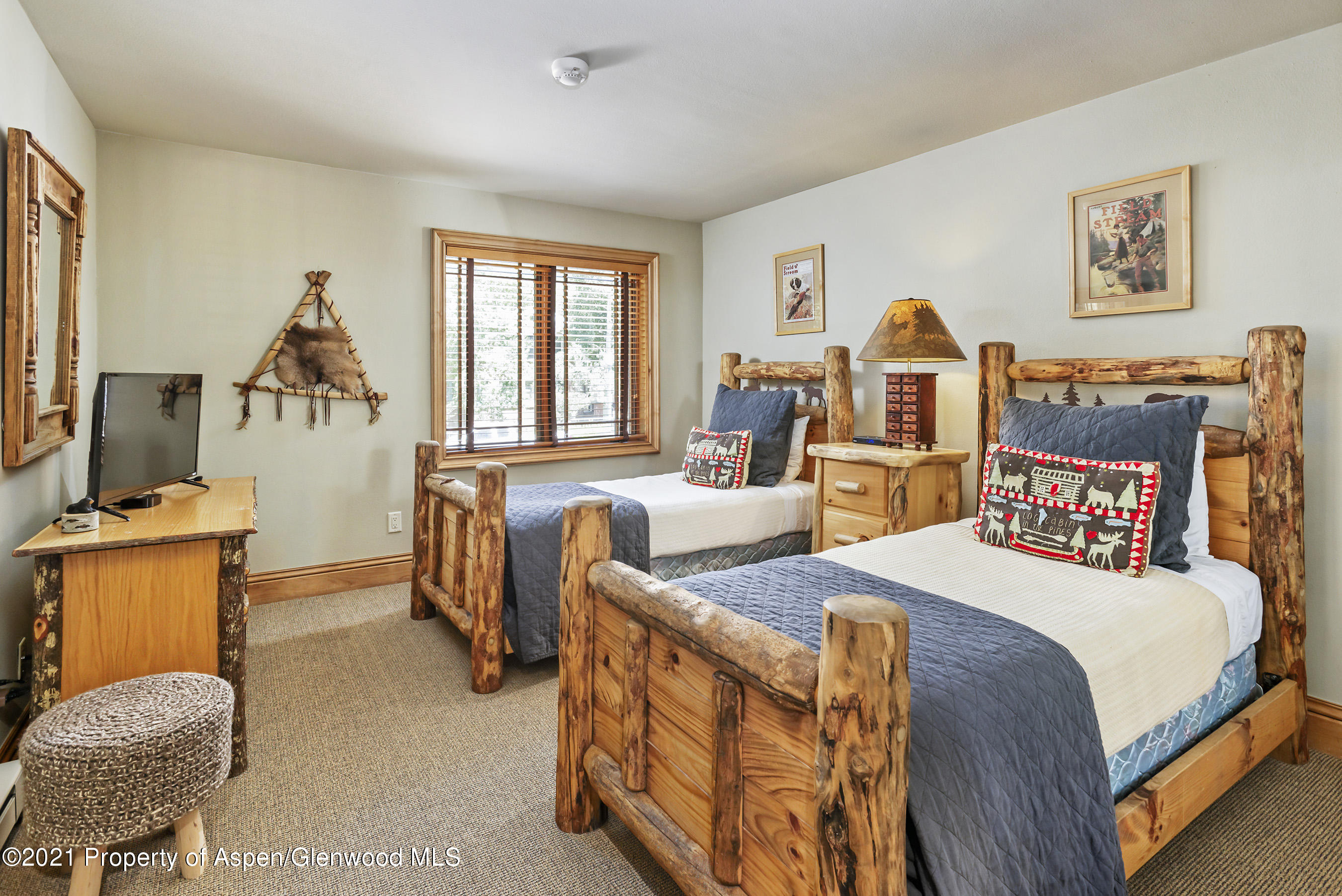 715 E Hopkins Avenue Aspen CO 81611