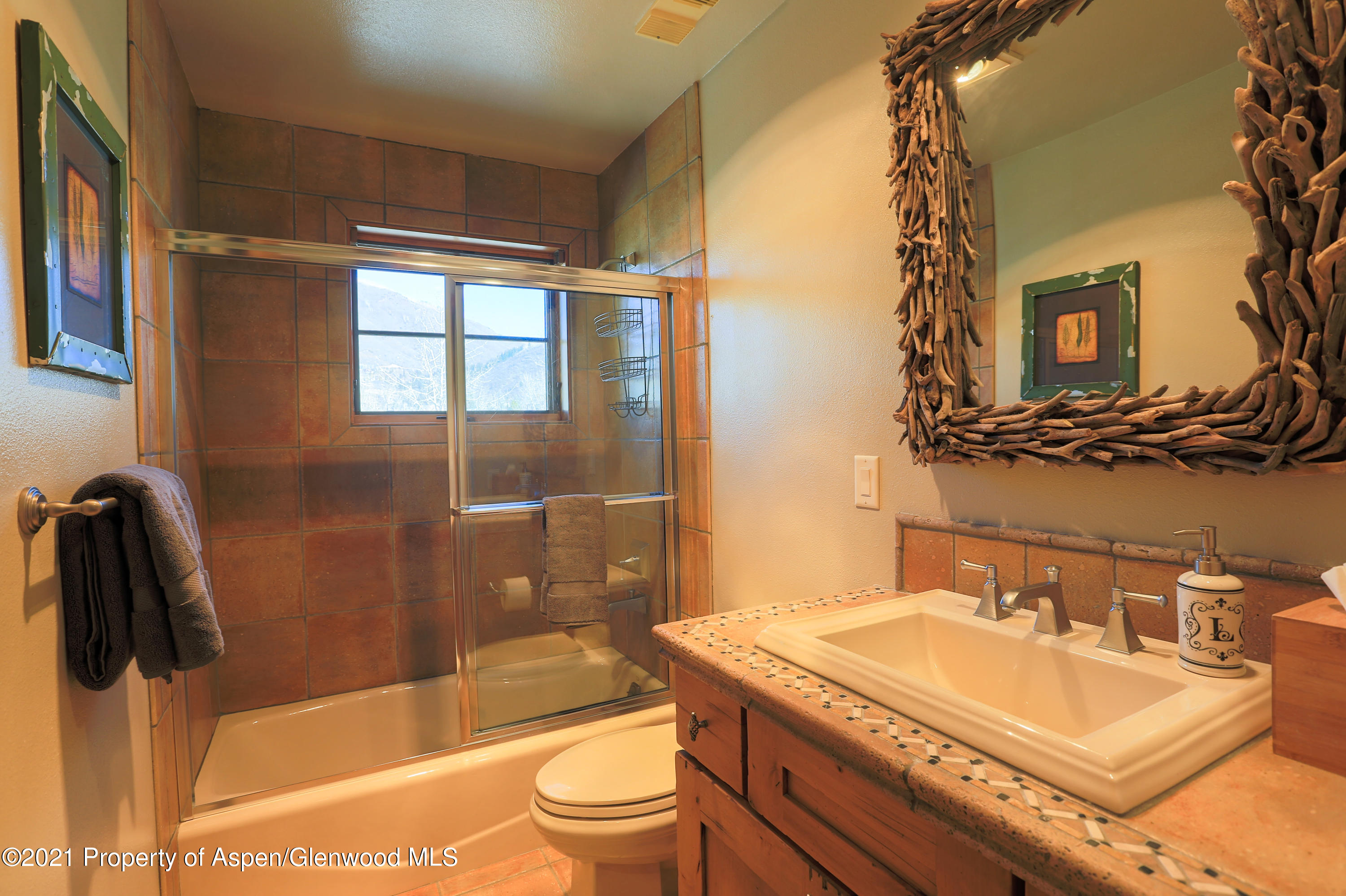 715 E Hopkins Avenue Aspen CO 81611