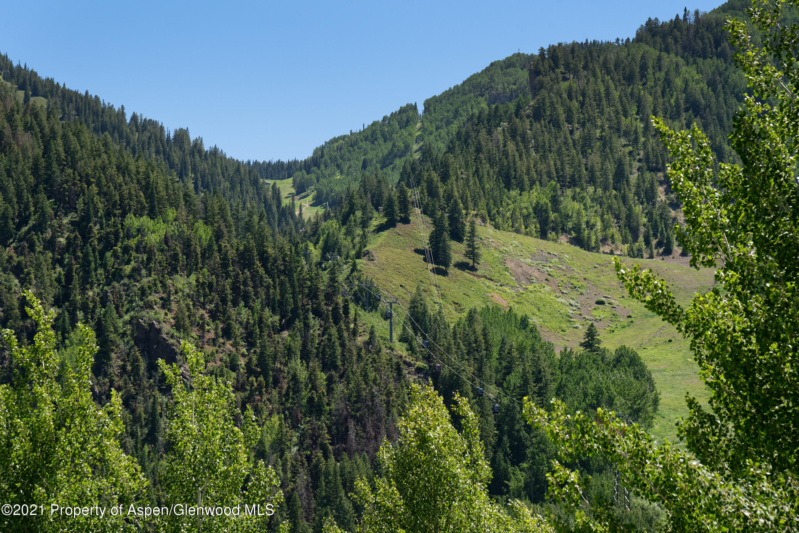 715 E Hopkins Avenue Aspen CO 81611