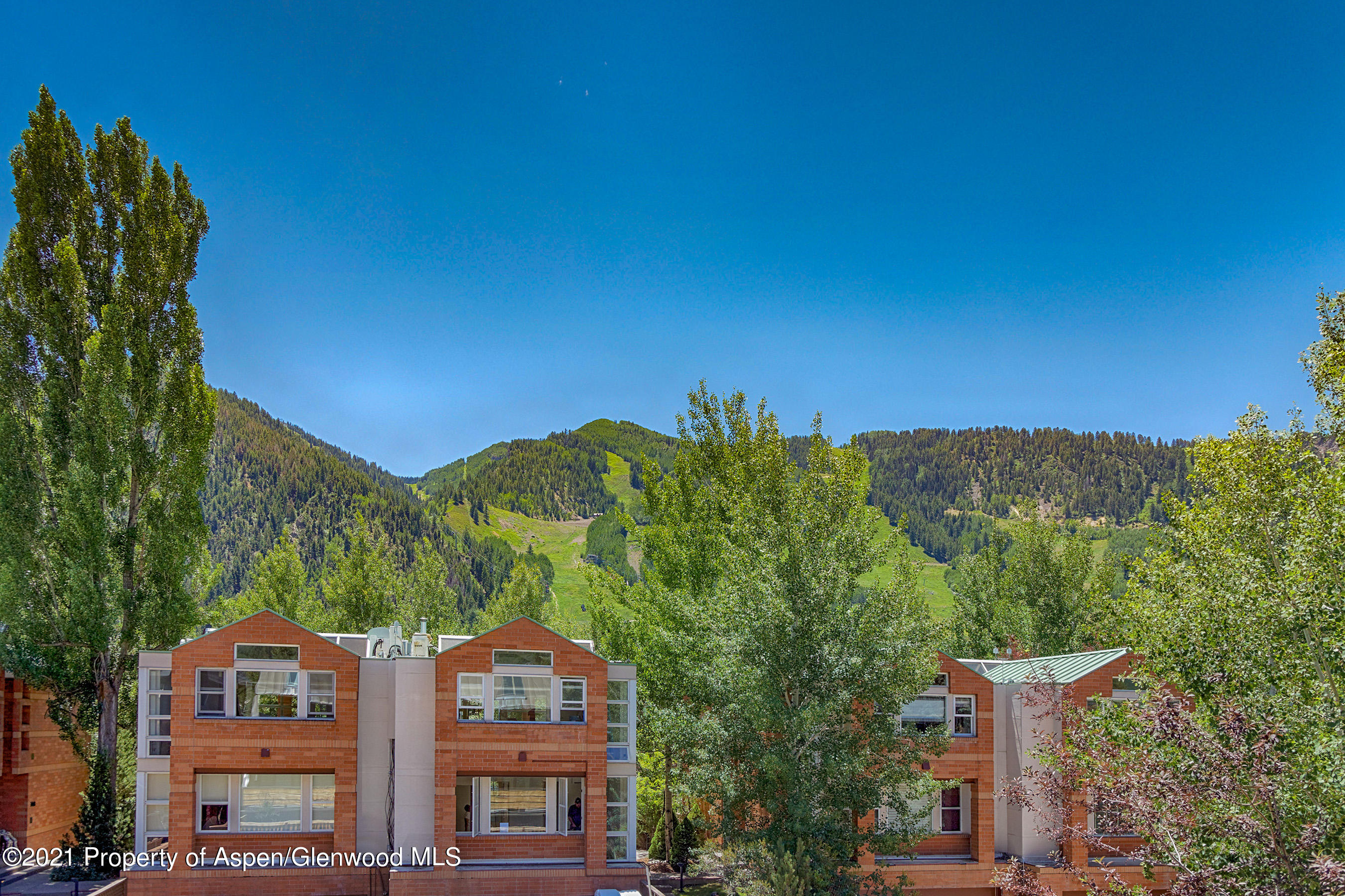 715 E Hopkins Avenue Aspen CO 81611