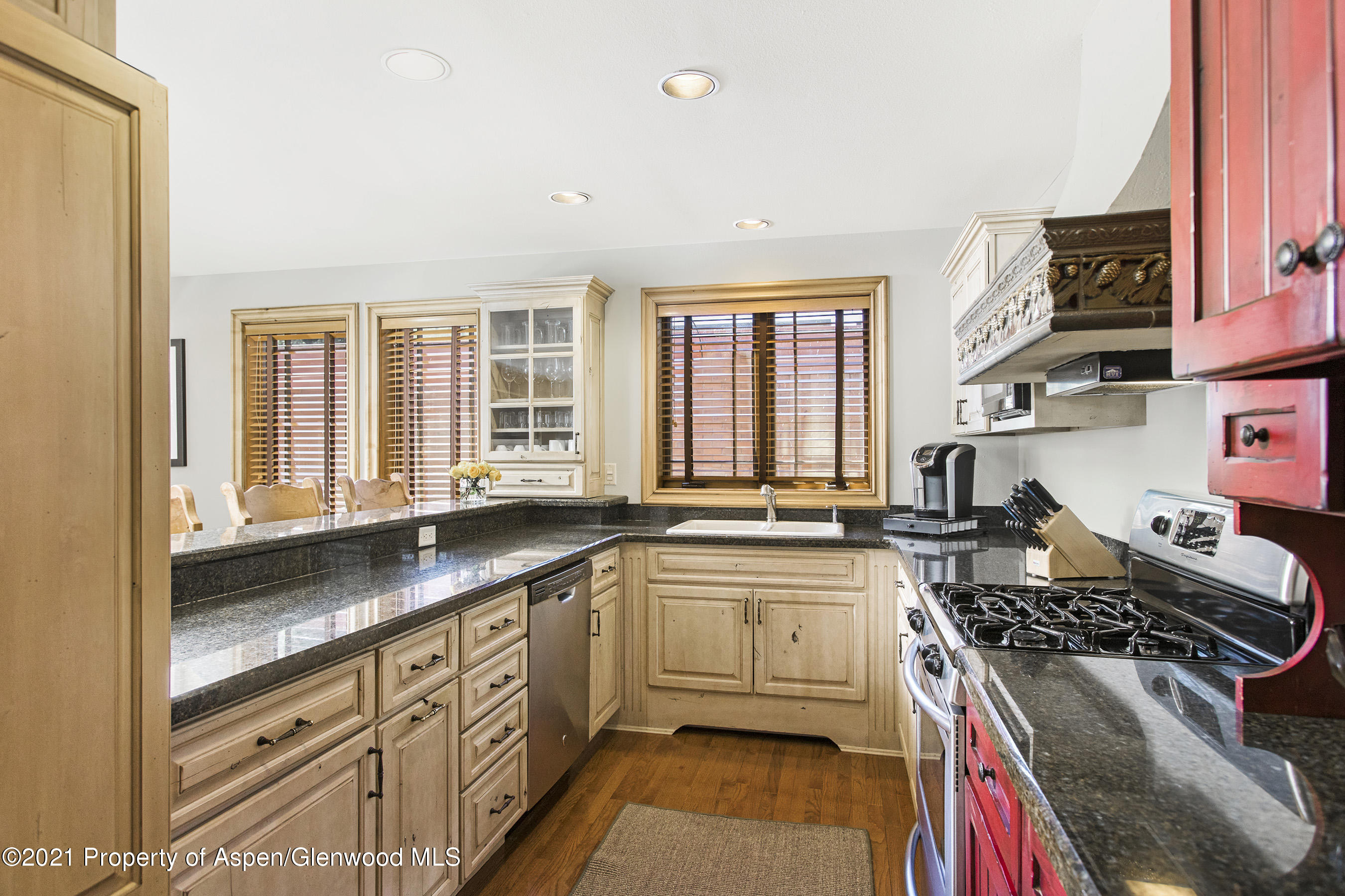 715 E Hopkins Avenue Aspen CO 81611