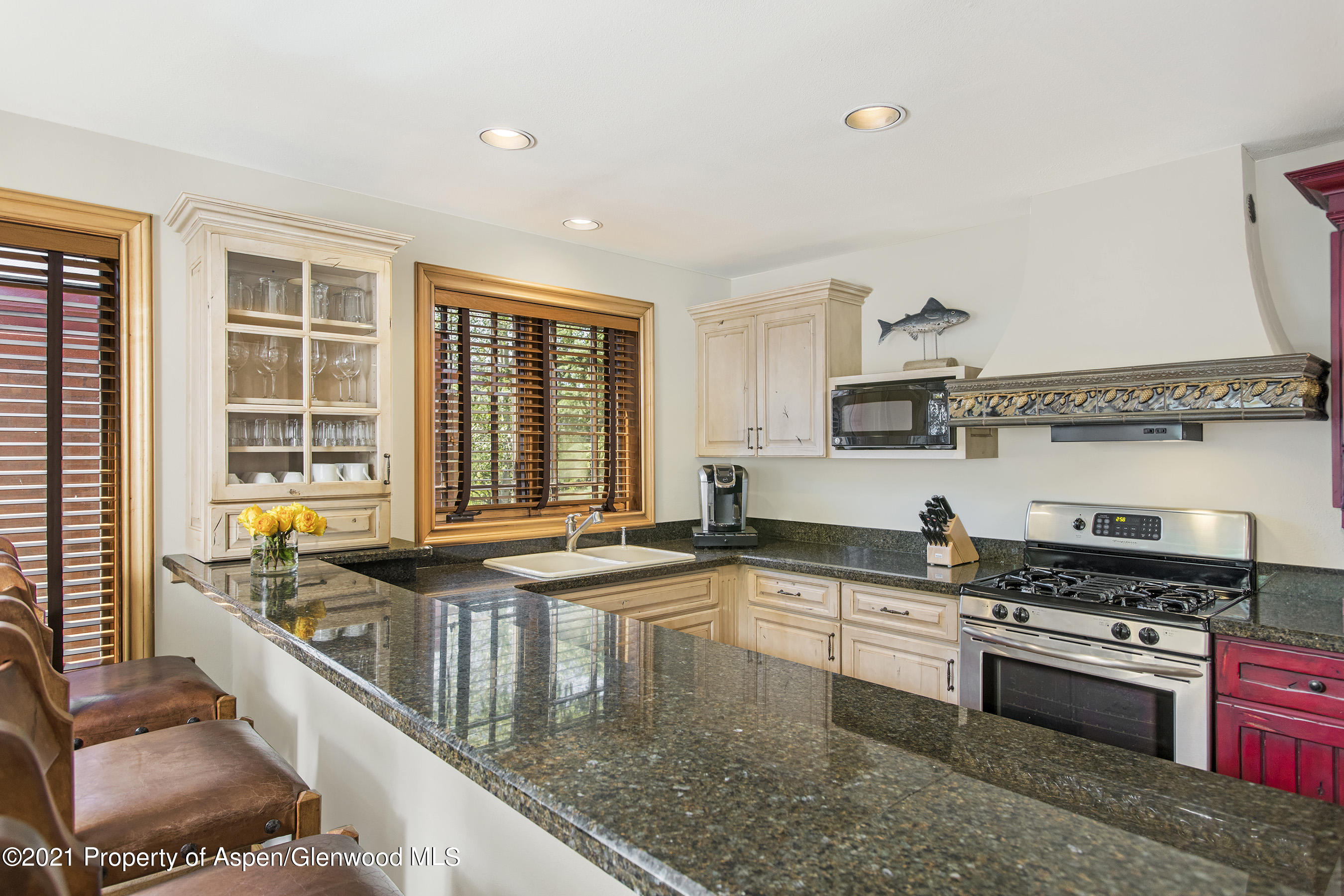 715 E Hopkins Avenue Aspen CO 81611