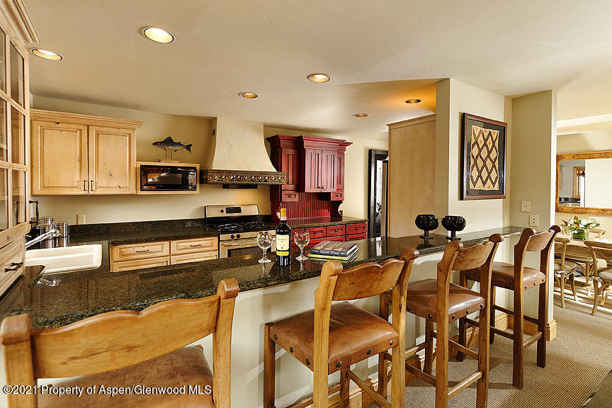 715 E Hopkins Avenue Aspen CO 81611