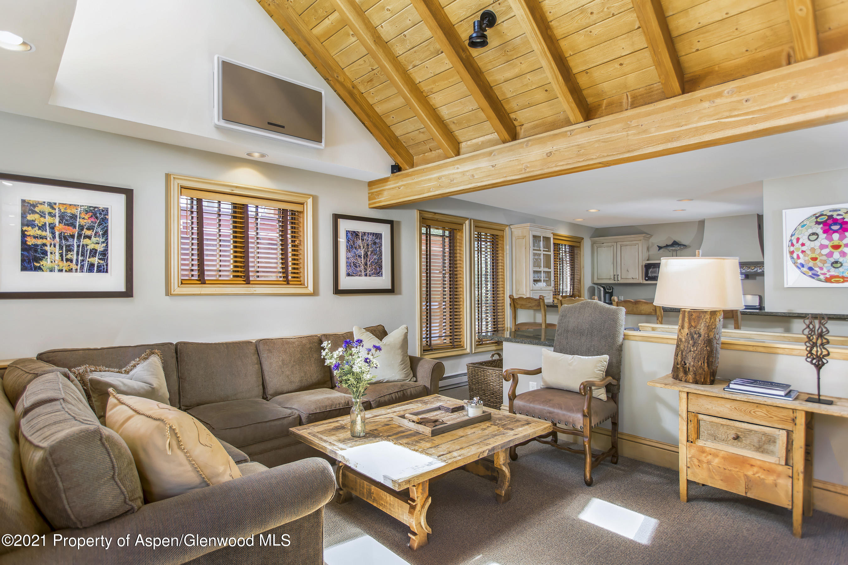 715 E Hopkins Avenue Aspen CO 81611