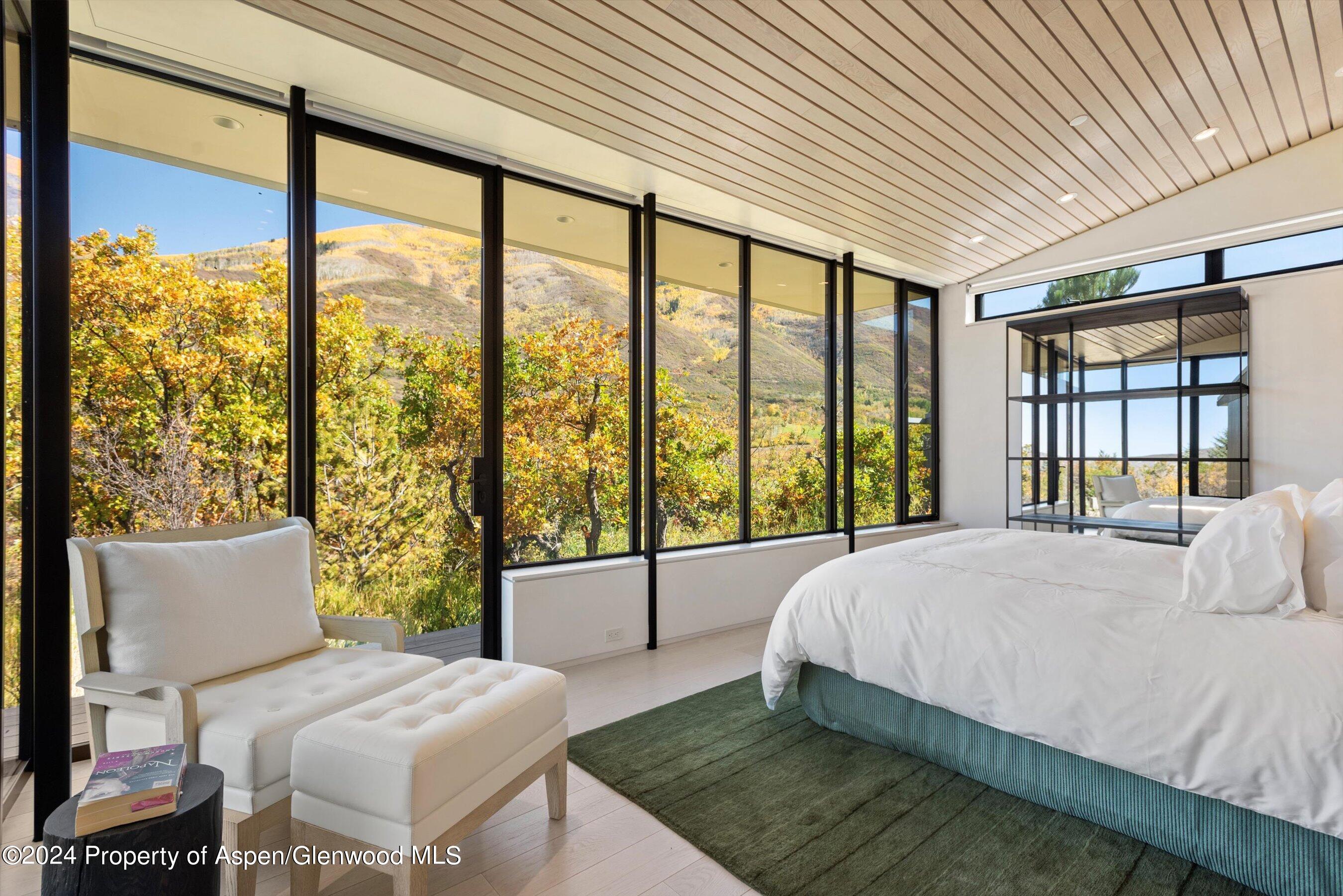 600 Nell Erickson Road Aspen CO 81611