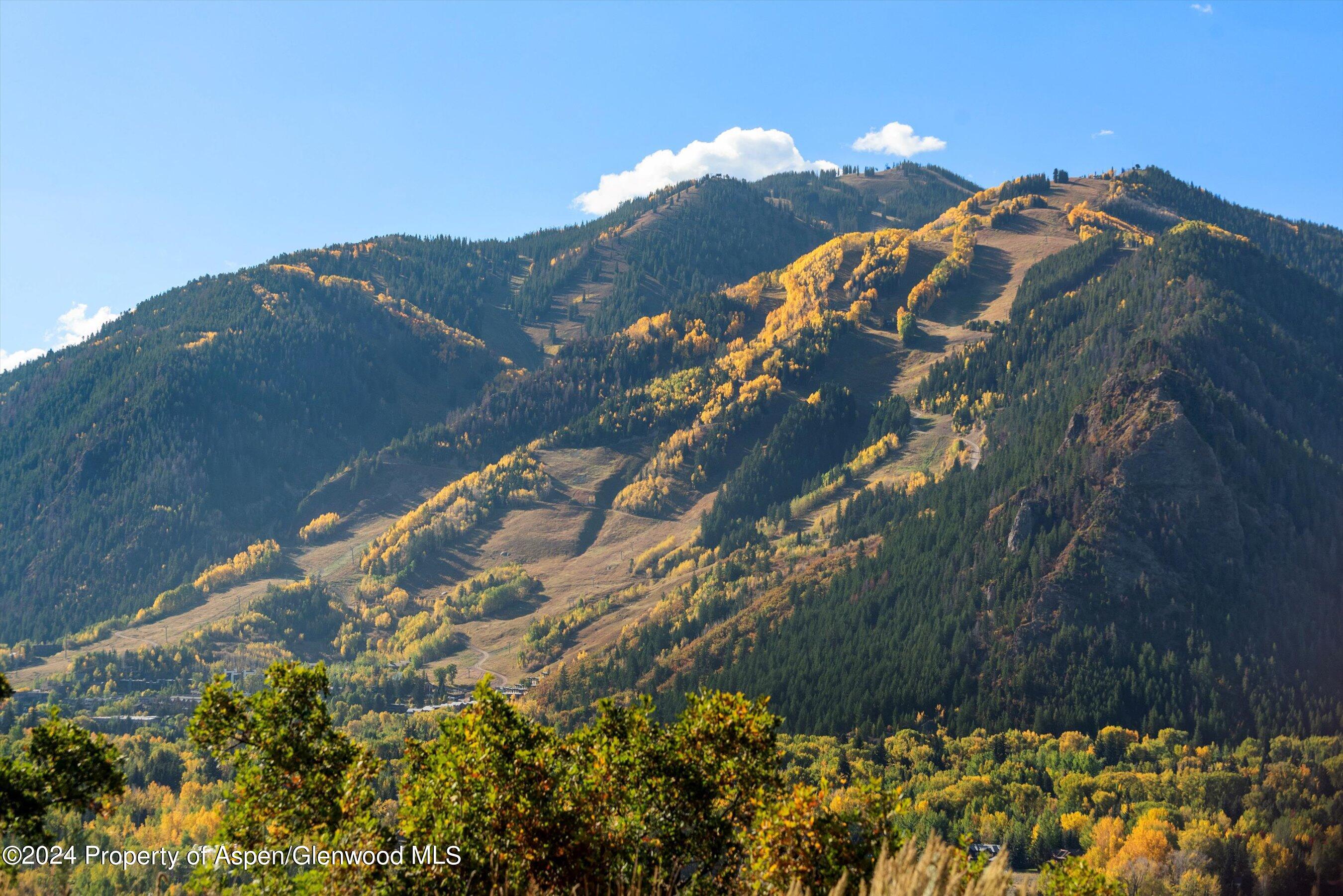 600 Nell Erickson Road Aspen CO 81611