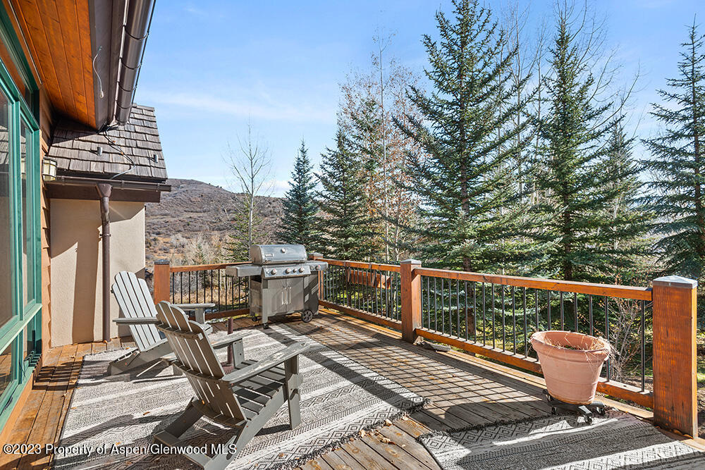 875 Horse Ranch Drive Snowmass Village CO 81615