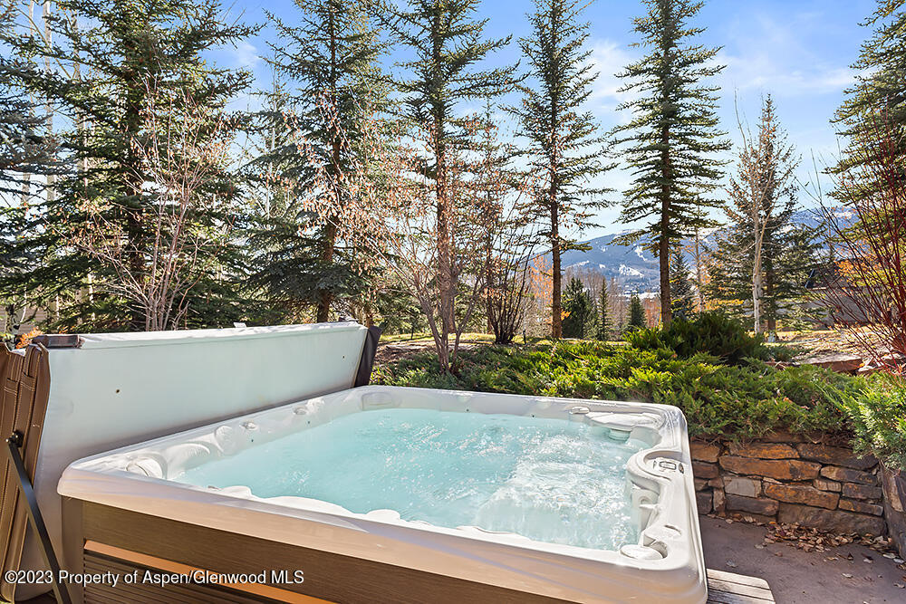 875 Horse Ranch Drive Snowmass Village CO 81615