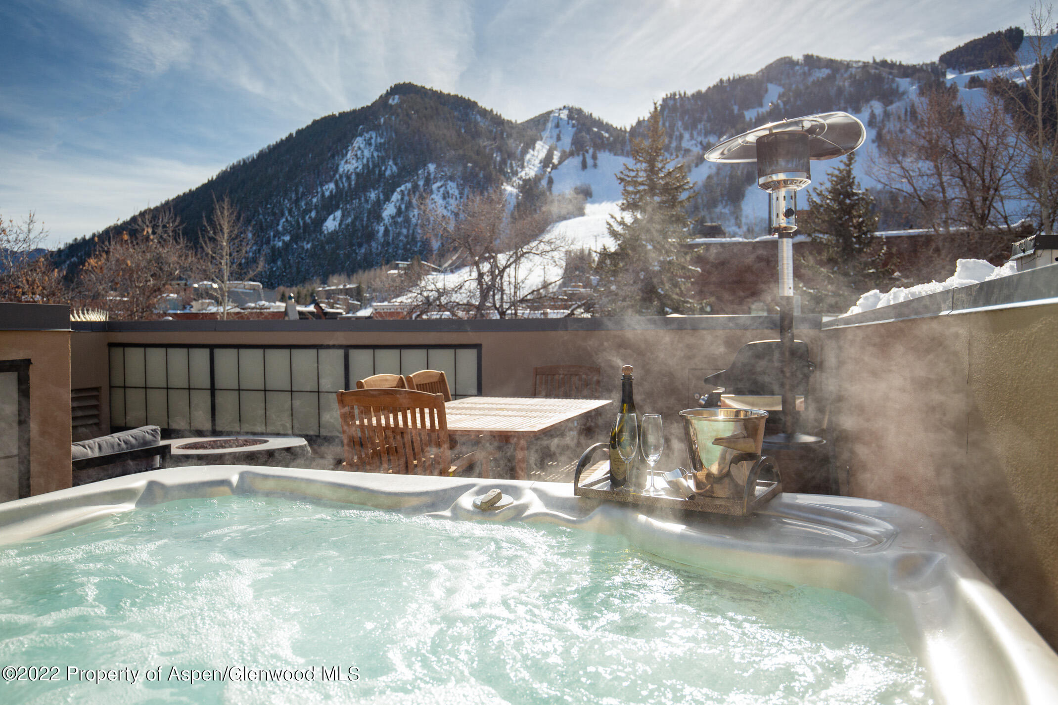 428 E Hyman Avenue Aspen CO 81611