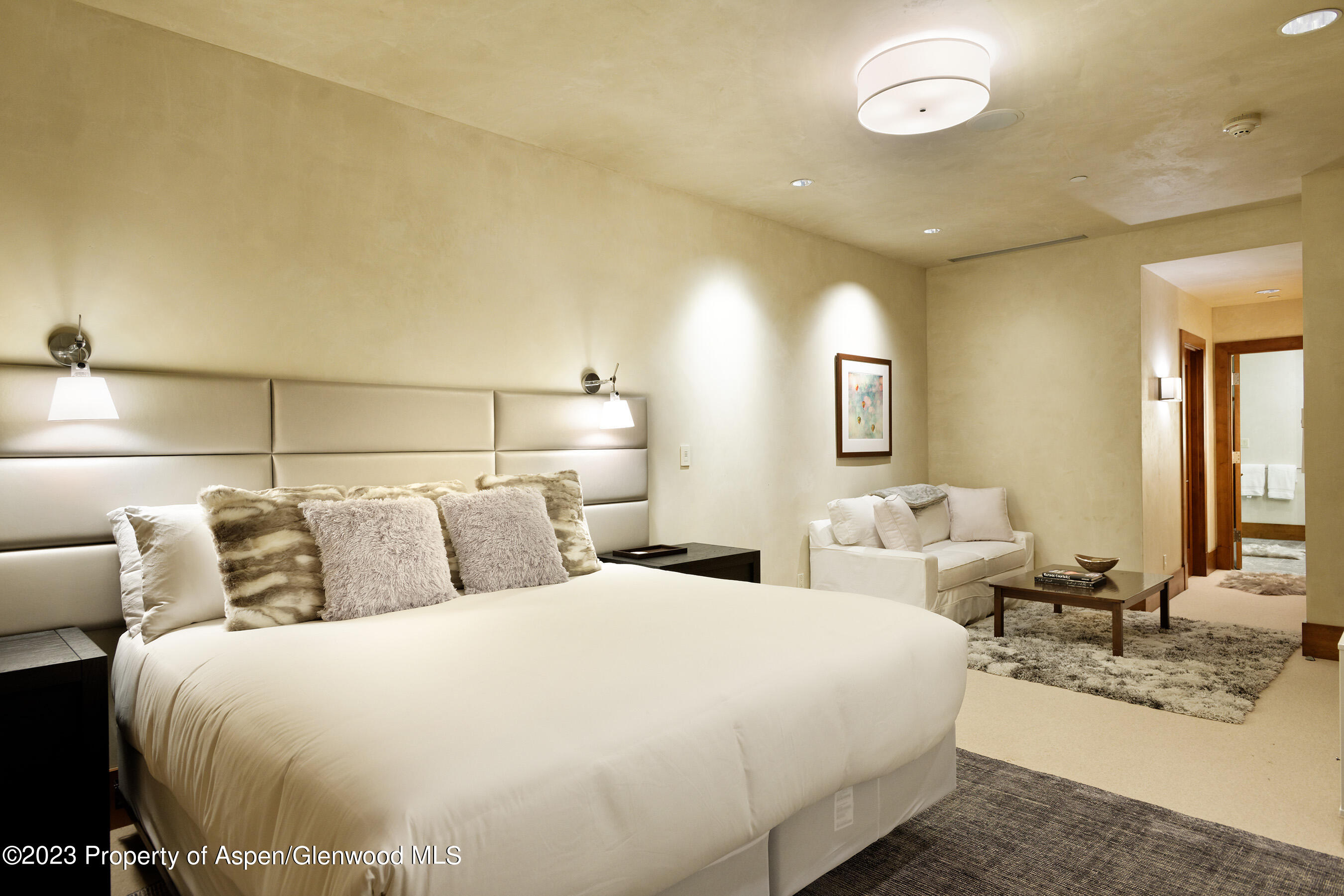 428 E Hyman Avenue Aspen CO 81611