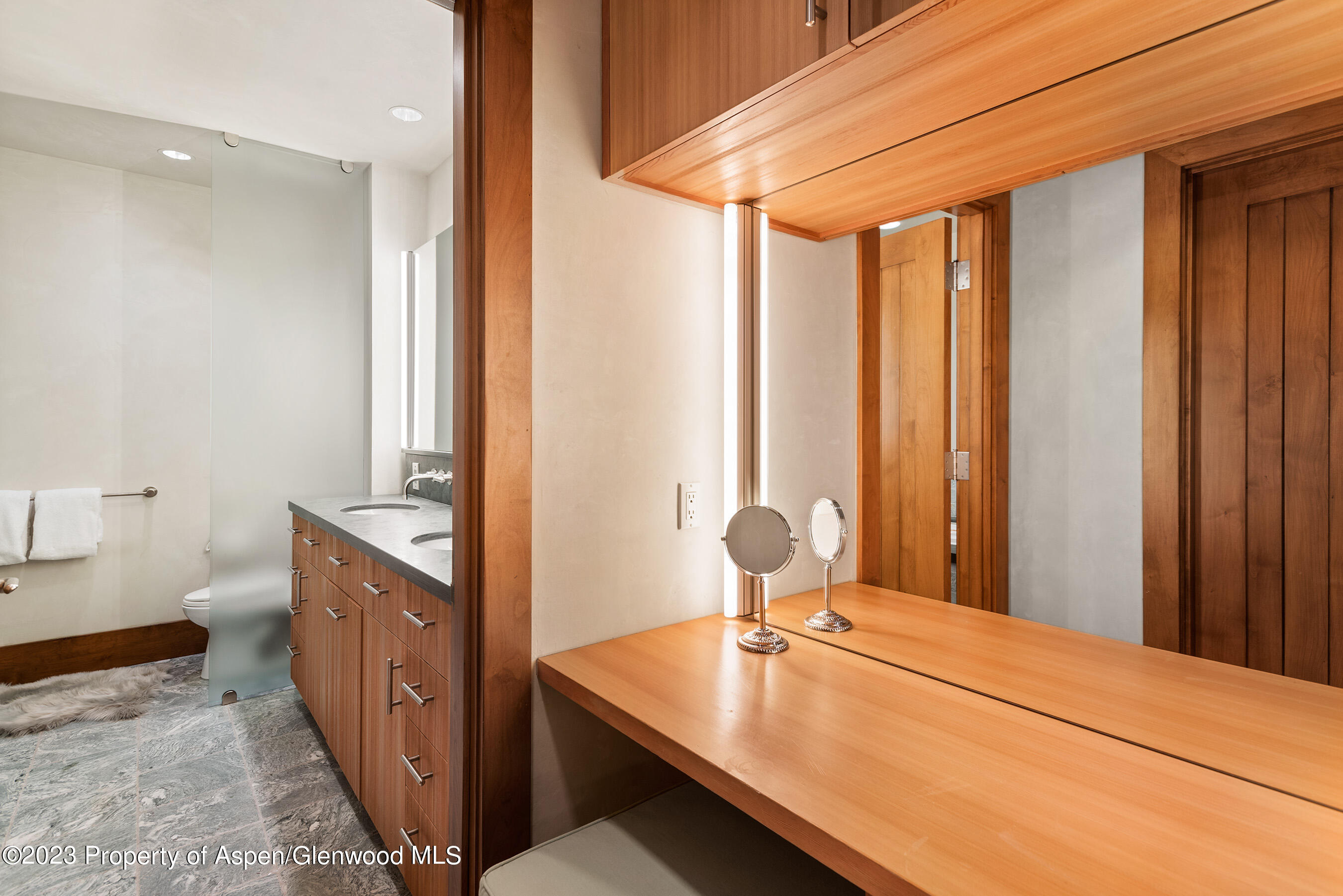 428 E Hyman Avenue Aspen CO 81611