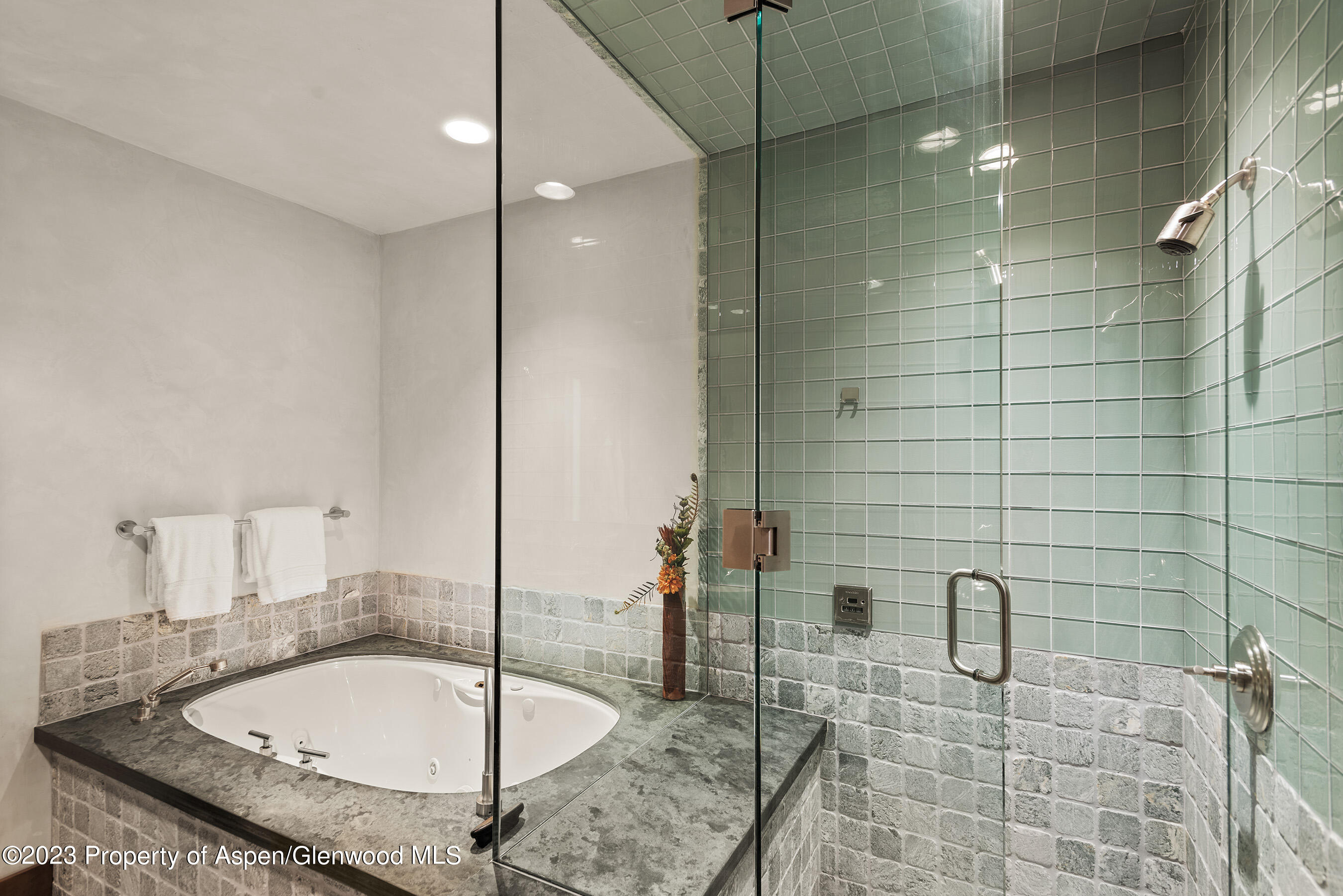 428 E Hyman Avenue Aspen CO 81611