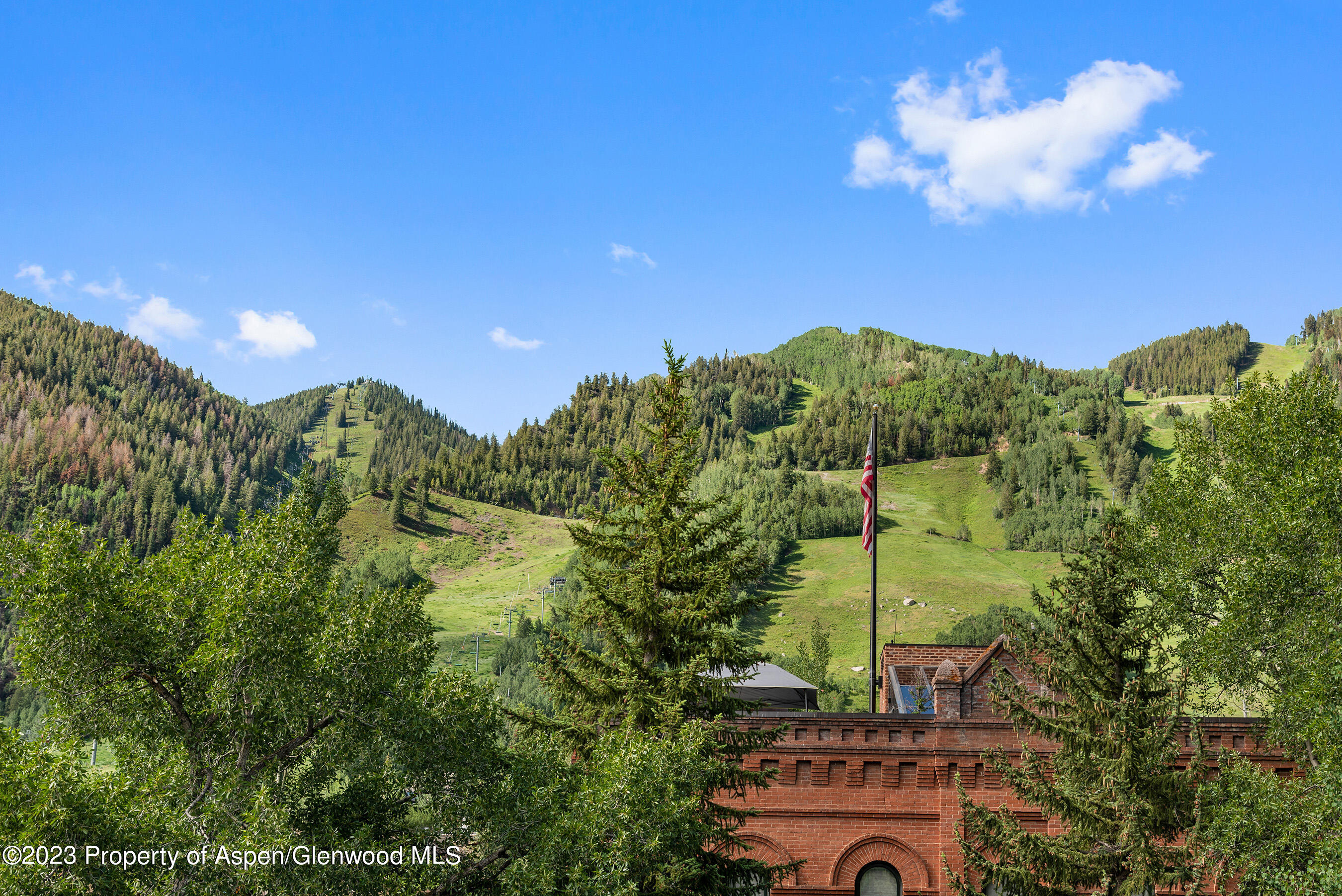 428 E Hyman Avenue Aspen CO 81611