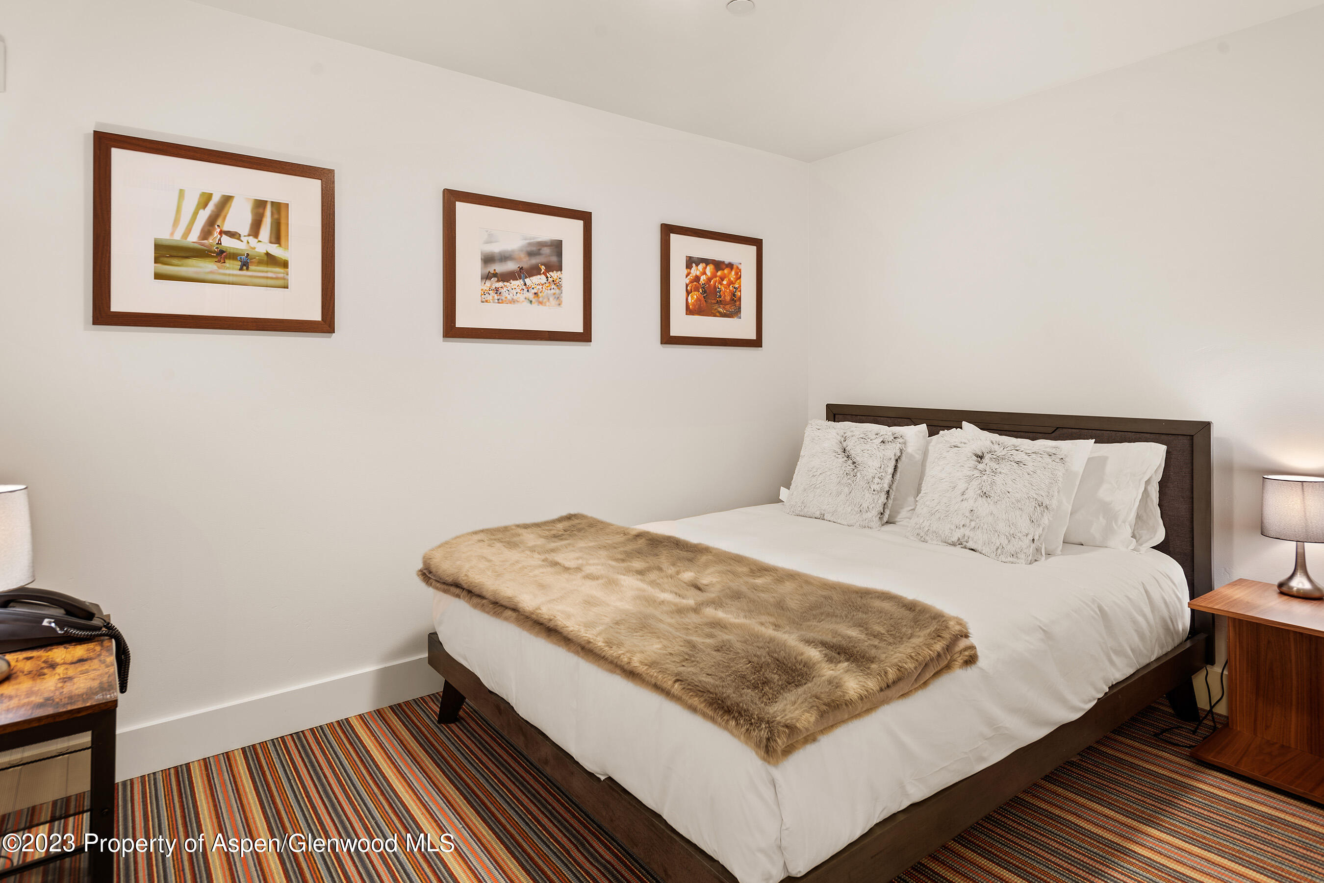 428 E Hyman Avenue Aspen CO 81611