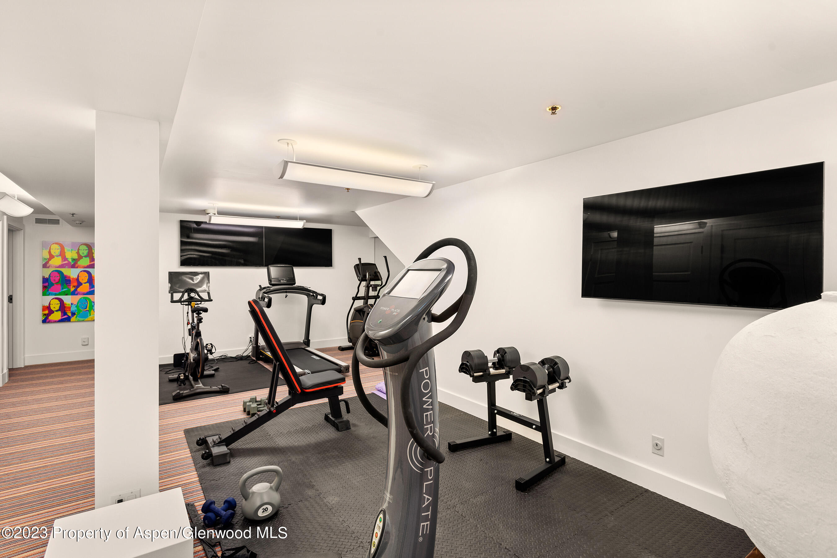 428 E Hyman Avenue Aspen CO 81611