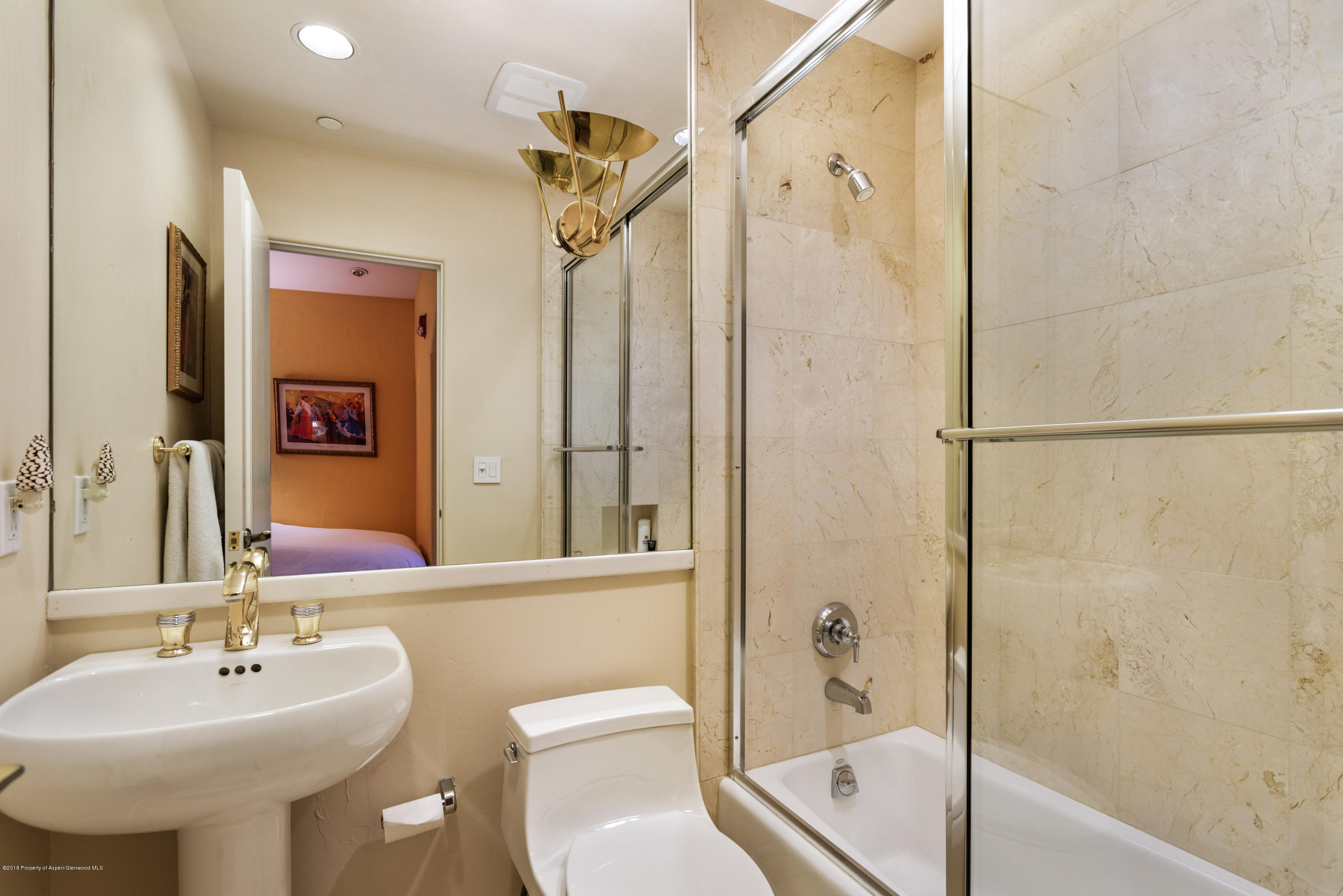 926 E Durant Avenue Aspen CO 81611