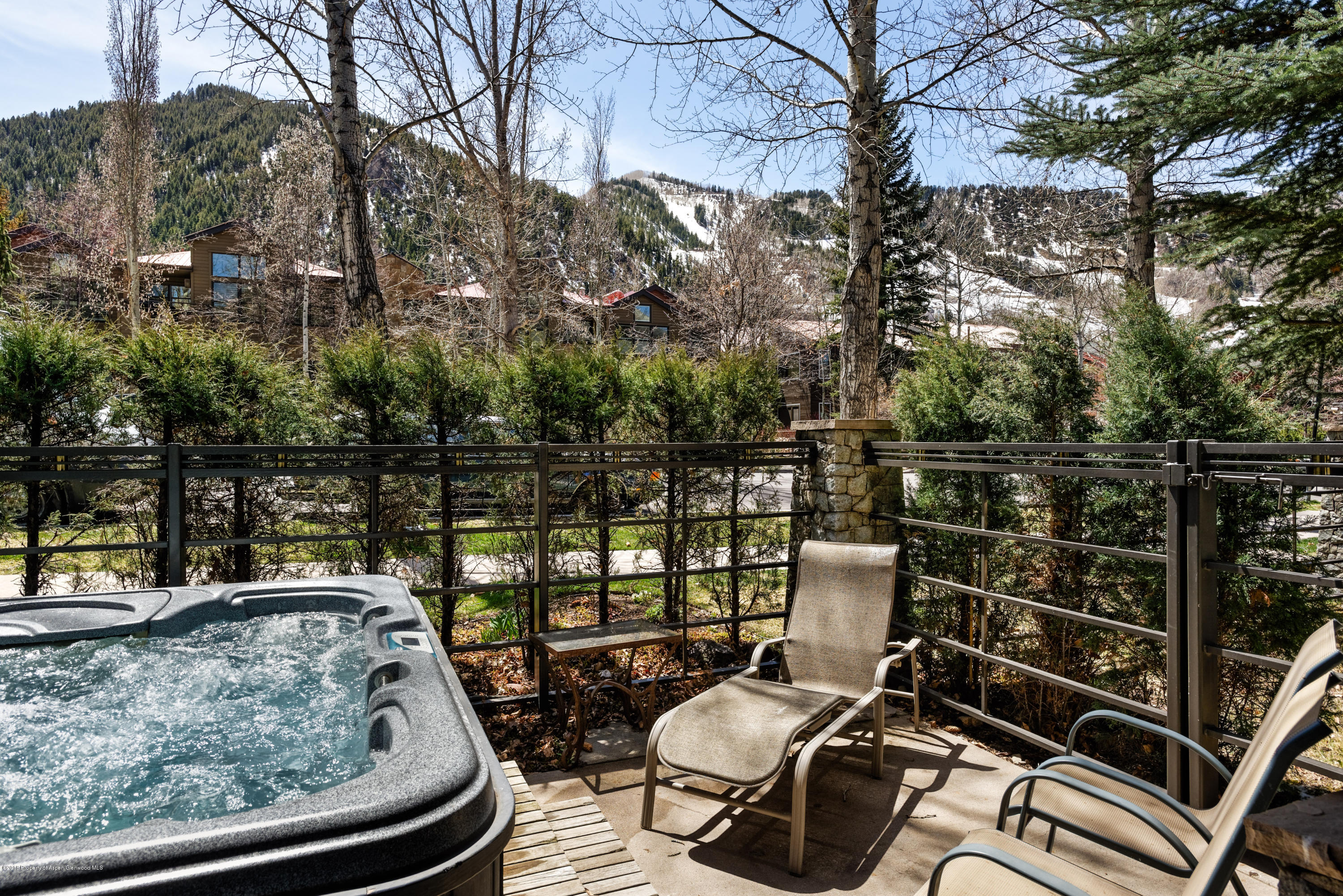 926 E Durant Avenue Aspen CO 81611